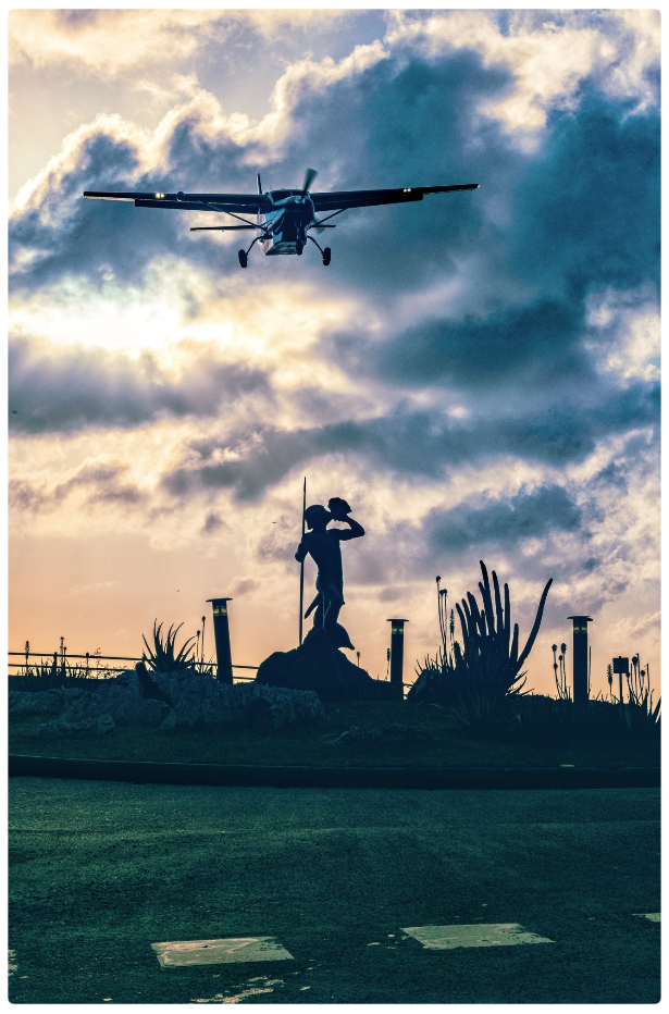 Screenshot 2025-03-11 at 10.16.24 AM.png