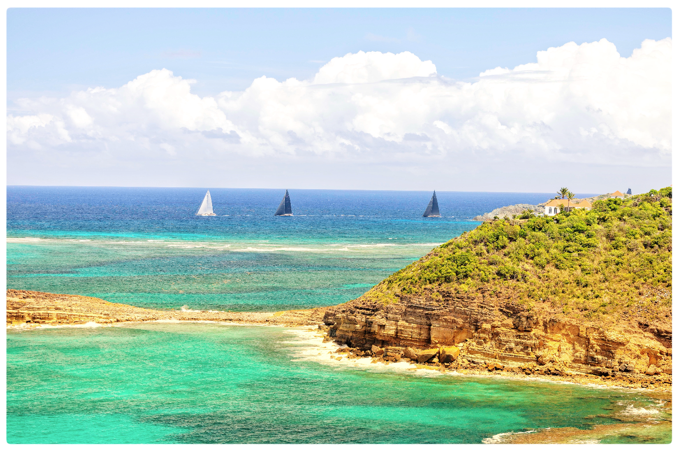 Screenshot 2025-03-11 at 11.36.51 AM.png