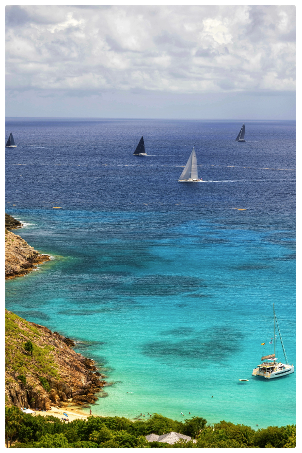 Screenshot 2025-03-11 at 11.16.58 AM.png