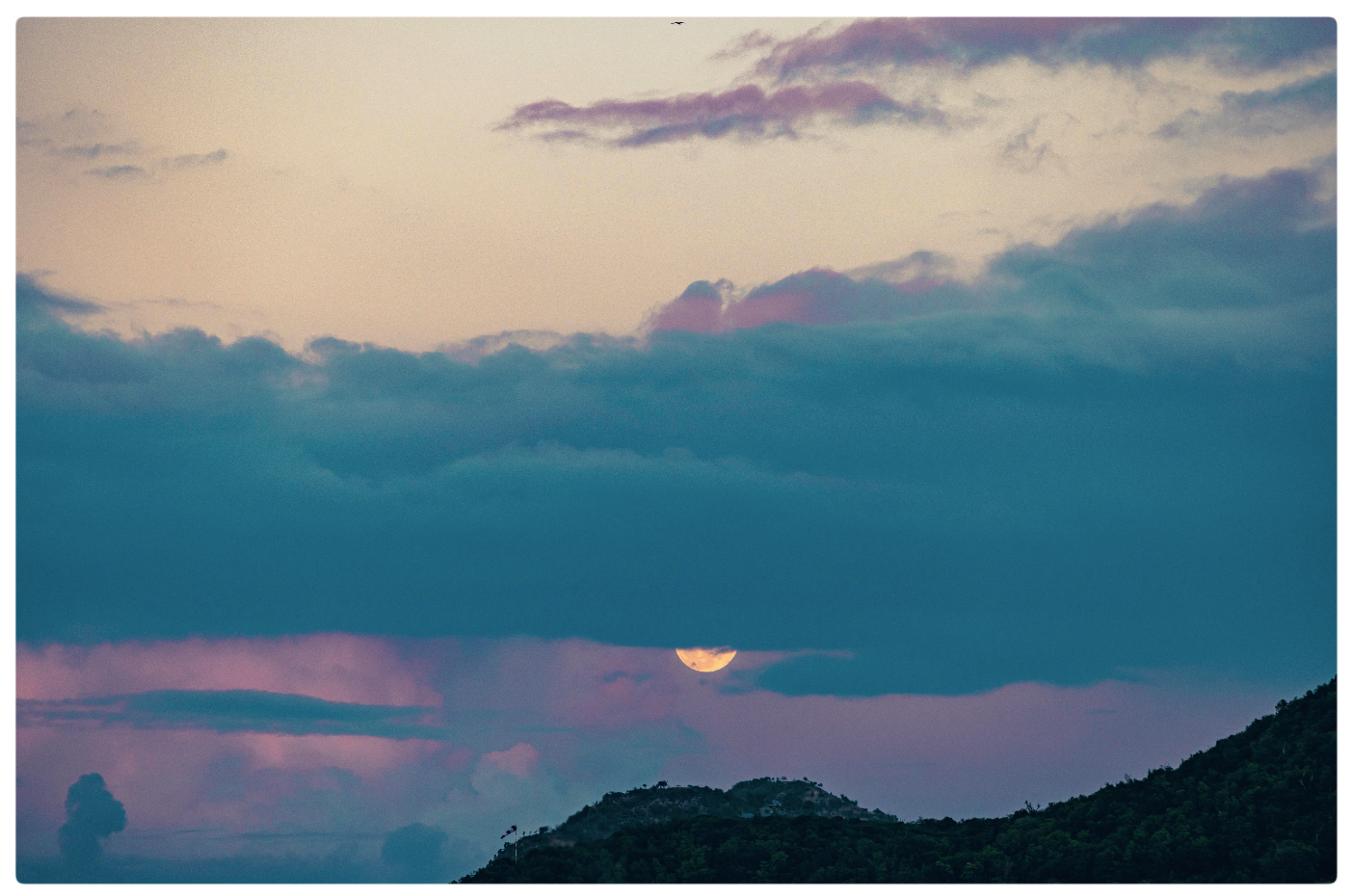 Screenshot 2025-03-12 at 7.02.09 AM.png