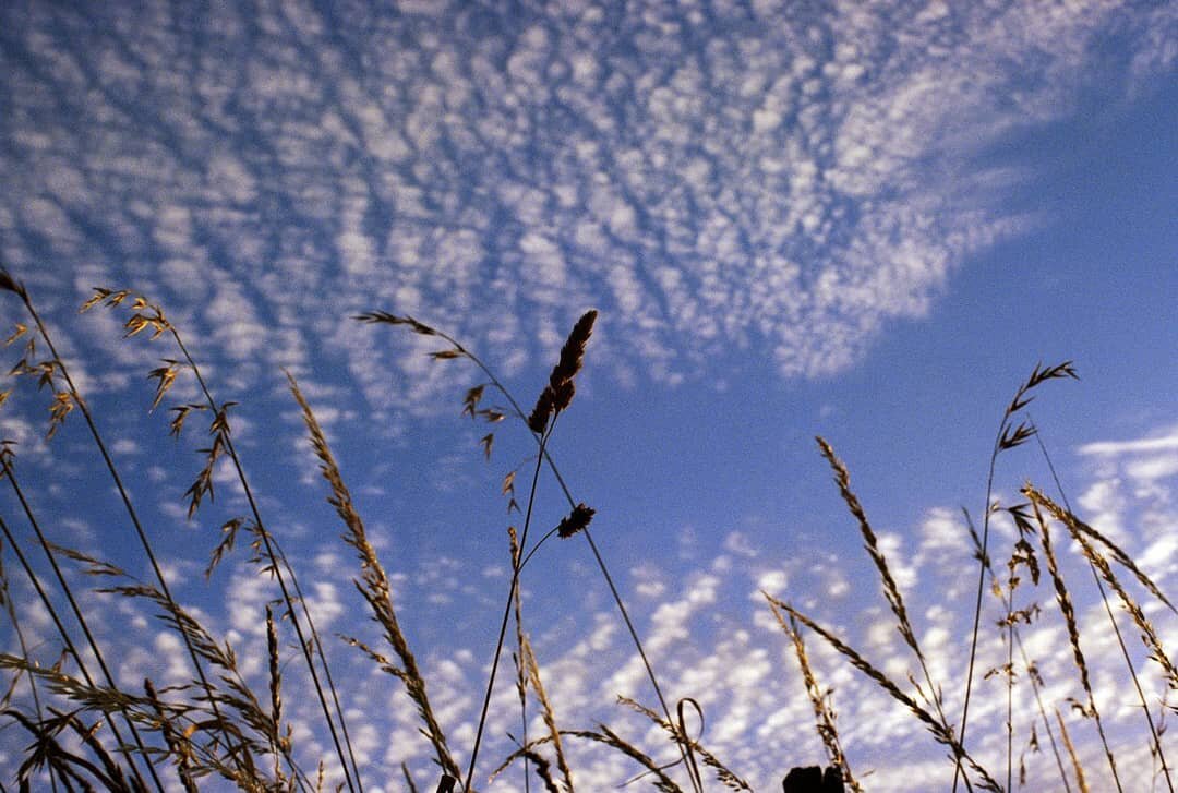 Nikon F - 50mm 
#nikon #nikonf #sunset #35mm #filmphotography #photofilmy #photography #sky #tasmania