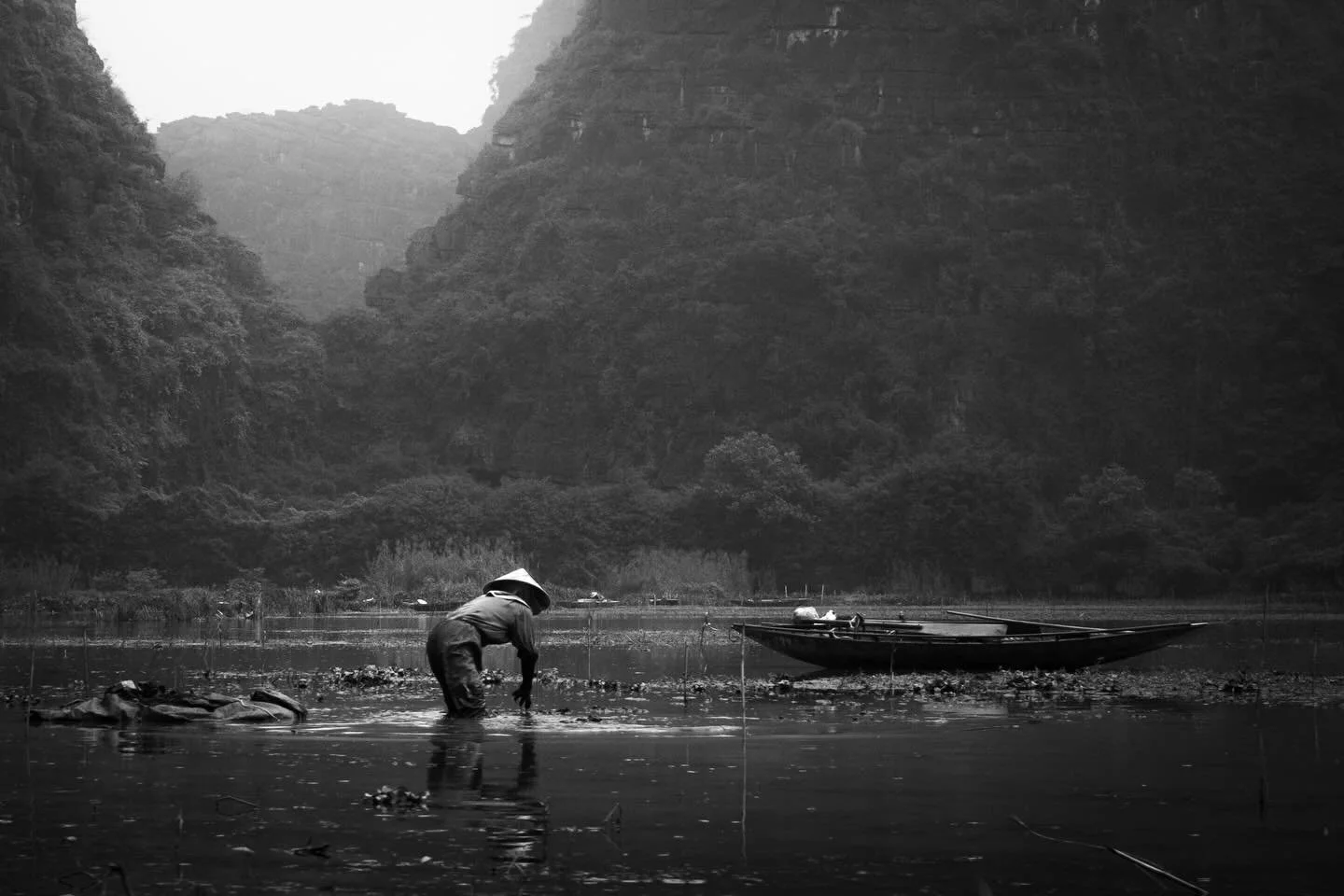 #fujifilm #vietnam