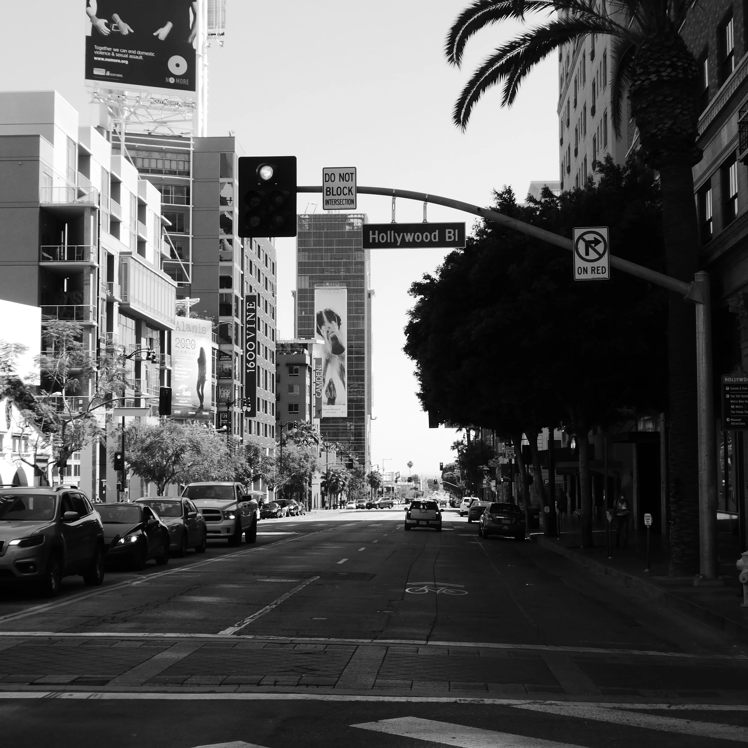 First Wave LA P1070347.jpeg