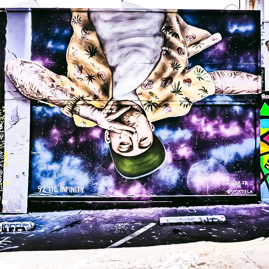 Walls_Mac Miller ED181A6D-102D-4F53-B160-29D4E1F0DC69_1_105_c.jpg