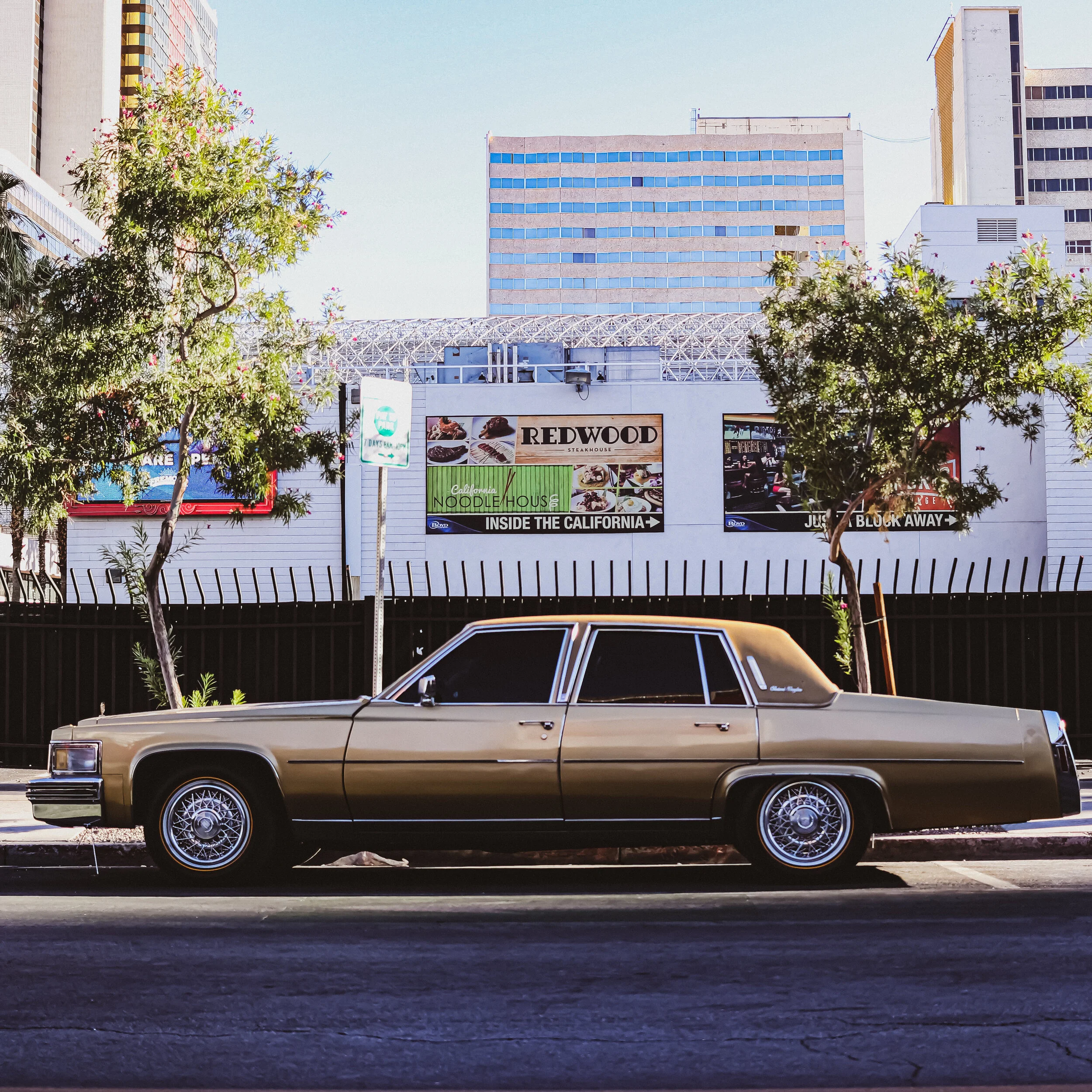 City_Las Vegas 7673146C-7FAD-470B-894B-DCE25842D0CD_1_201_a.jpg