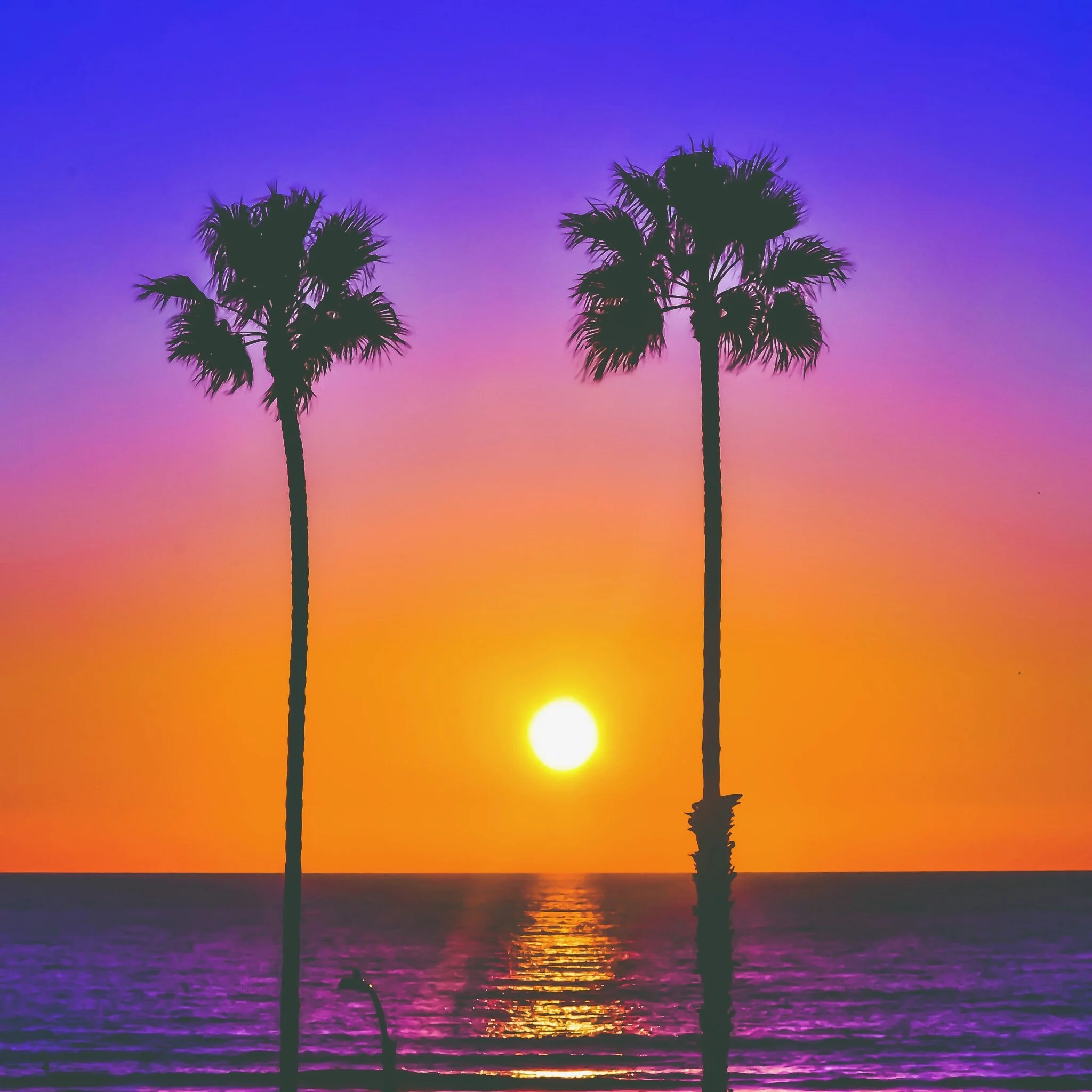 #059 OCEANSIDE 22123D20-757A-42FD-9B05-6B4F29A282CB.jpeg