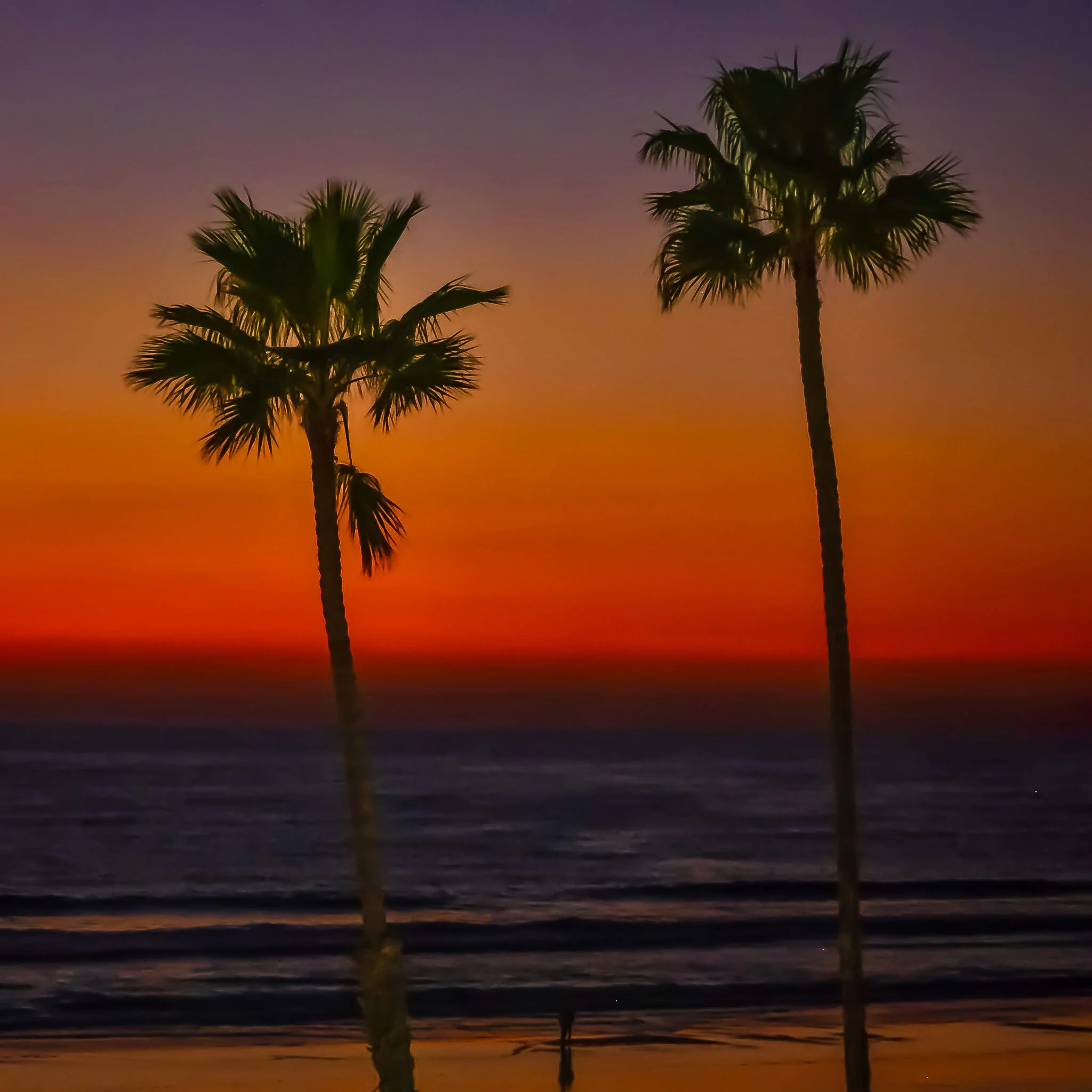 #079 OCEANSIDE 8137F854-BF5E-467F-978B-E9DF51A54048.jpeg