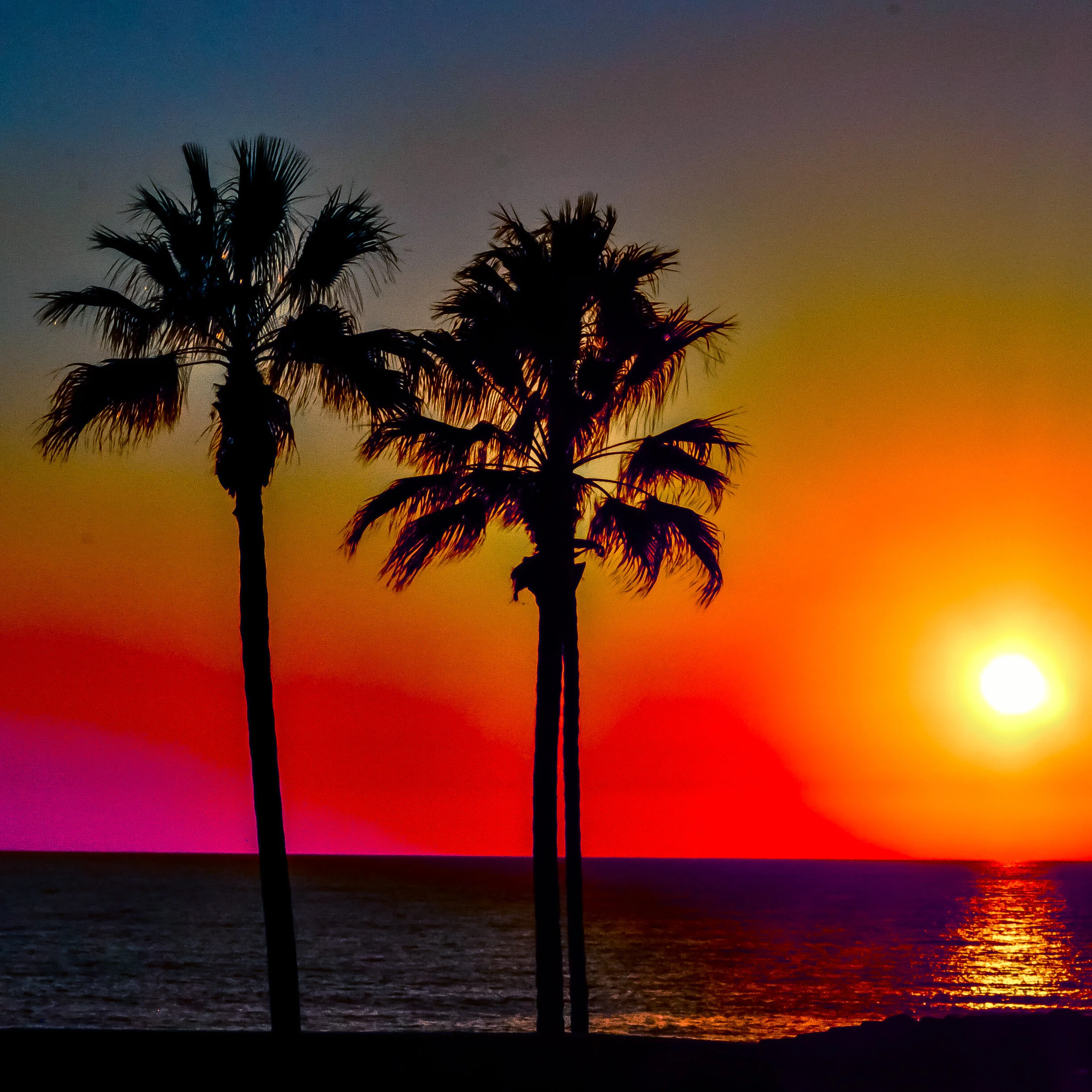 #098 OCEANSIDE 044E723C-2BC4-45BB-A853-C929404E4974.jpeg