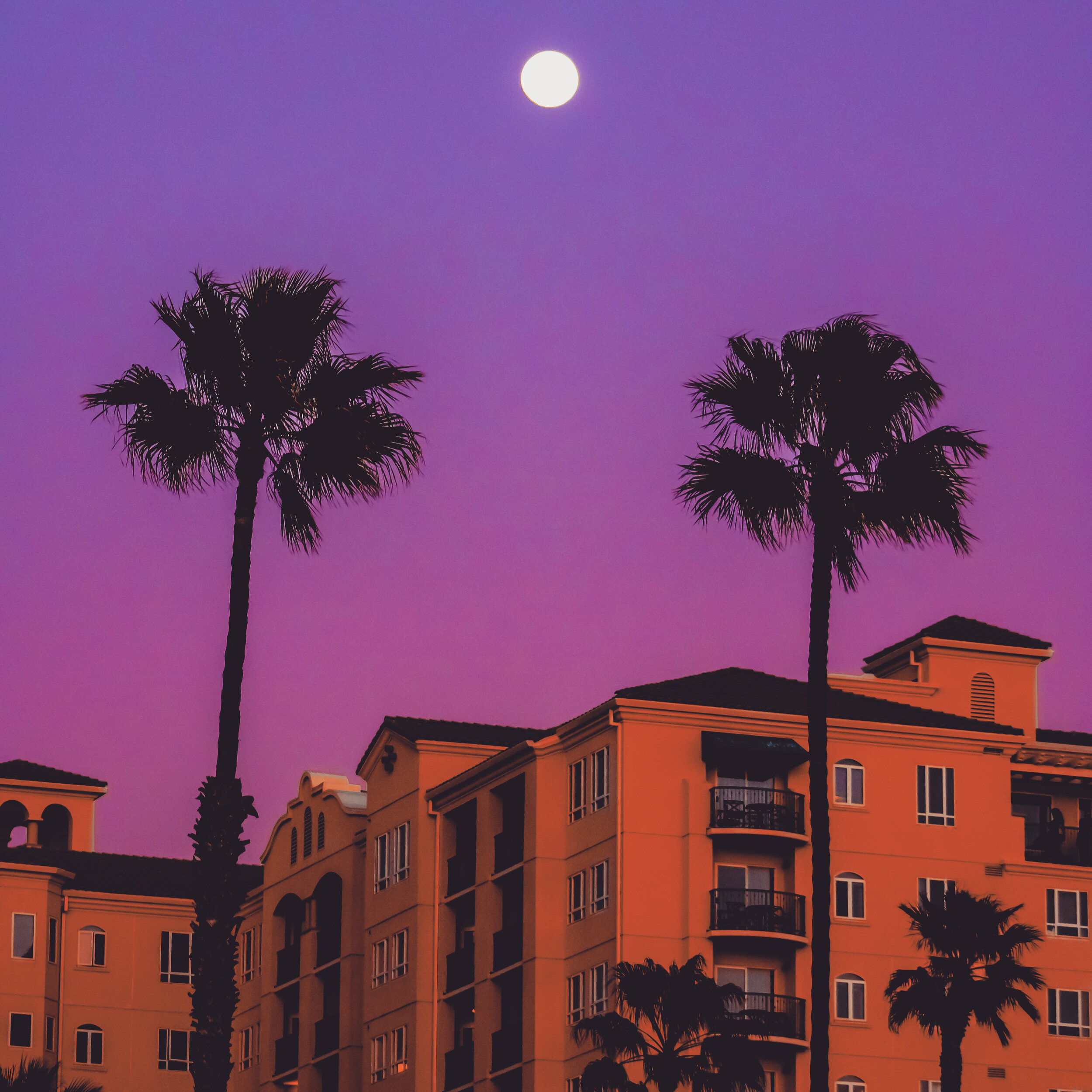 #100 OCEANSIDE 0BEF65B4-DDAA-4139-9FBA-F83116B2F391.jpeg