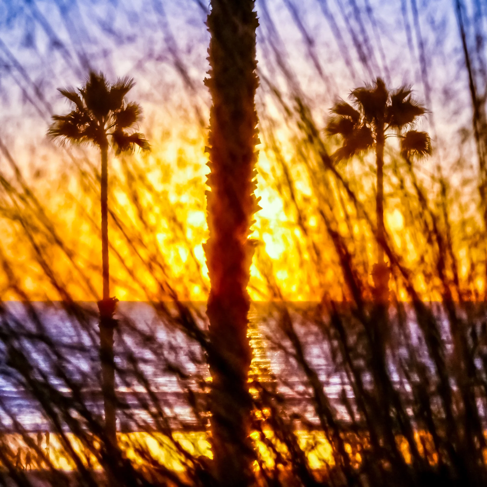 #163 WEEK #14 2020 OCEANSIDE IMG_6849.jpeg