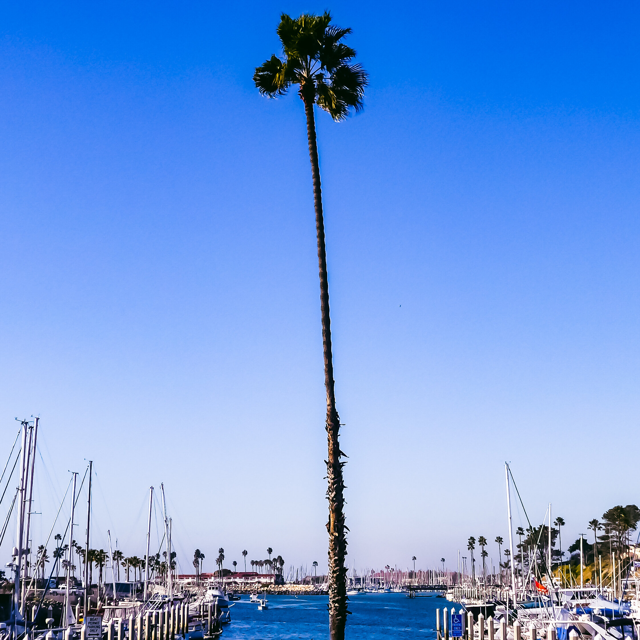 #158 OCEANSIDE 9477D79C-A272-4665-A843-41A7B3C561CD_1_201_a.jpg