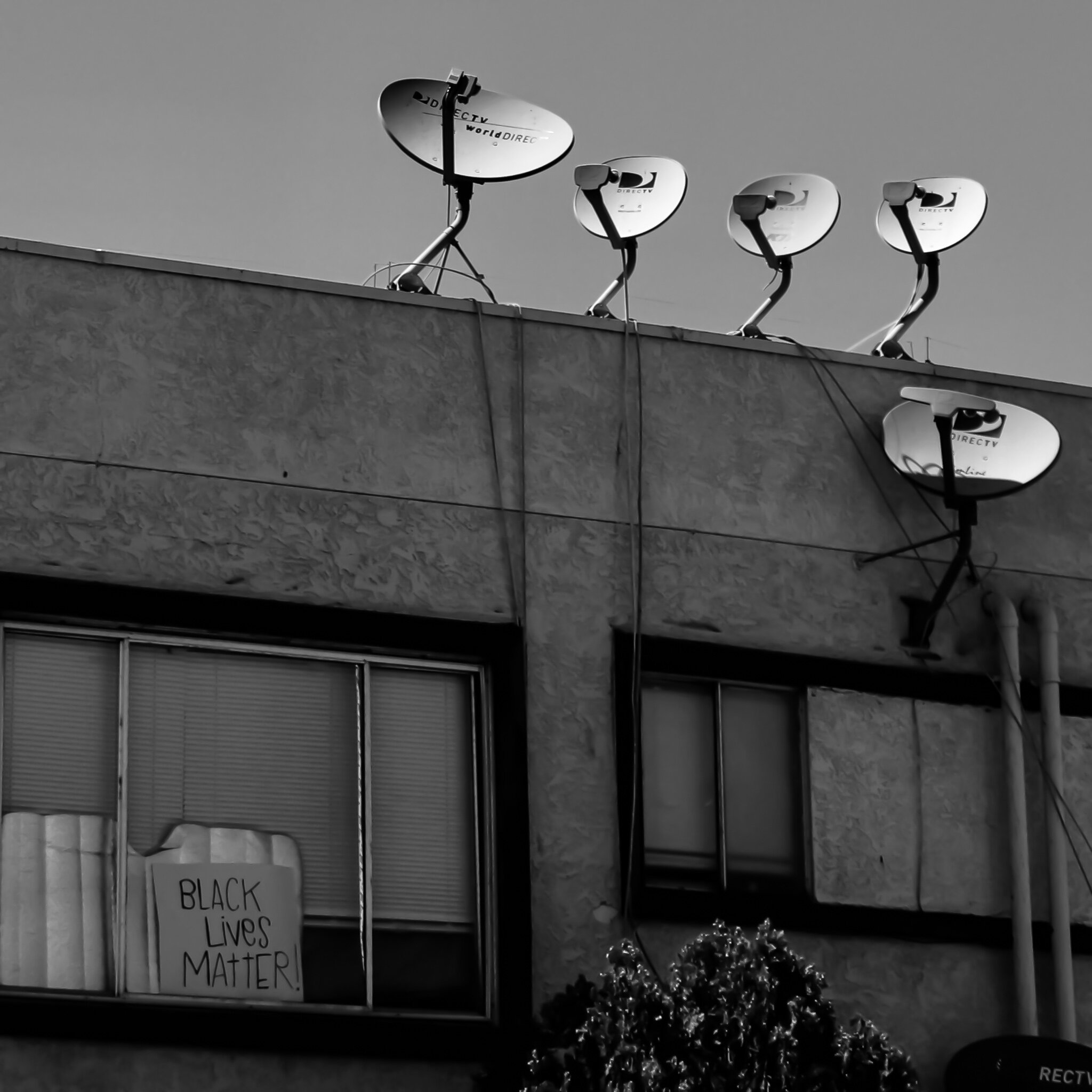 BLM DTLV IMG_0775.jpg