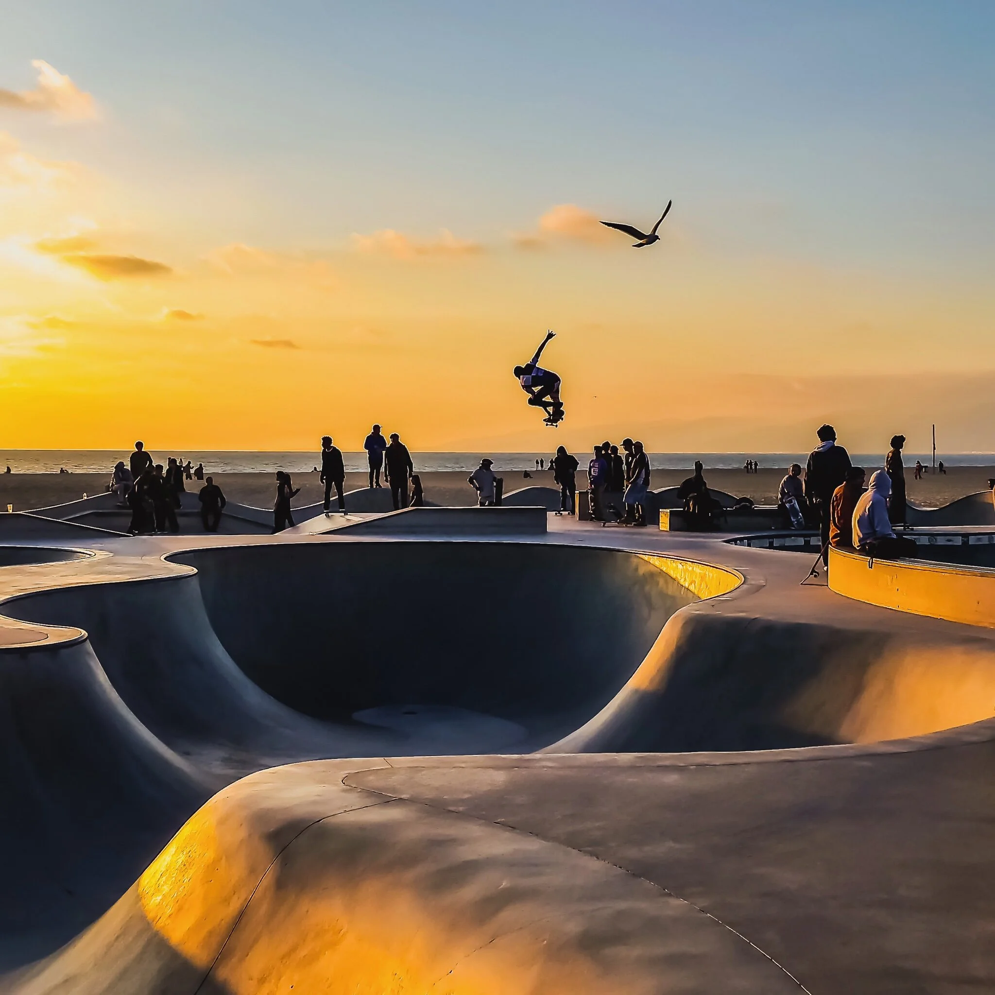 #056 VENICE BEACH 902BF9E9-A2EA-4813-9195-F181296A836F.jpeg