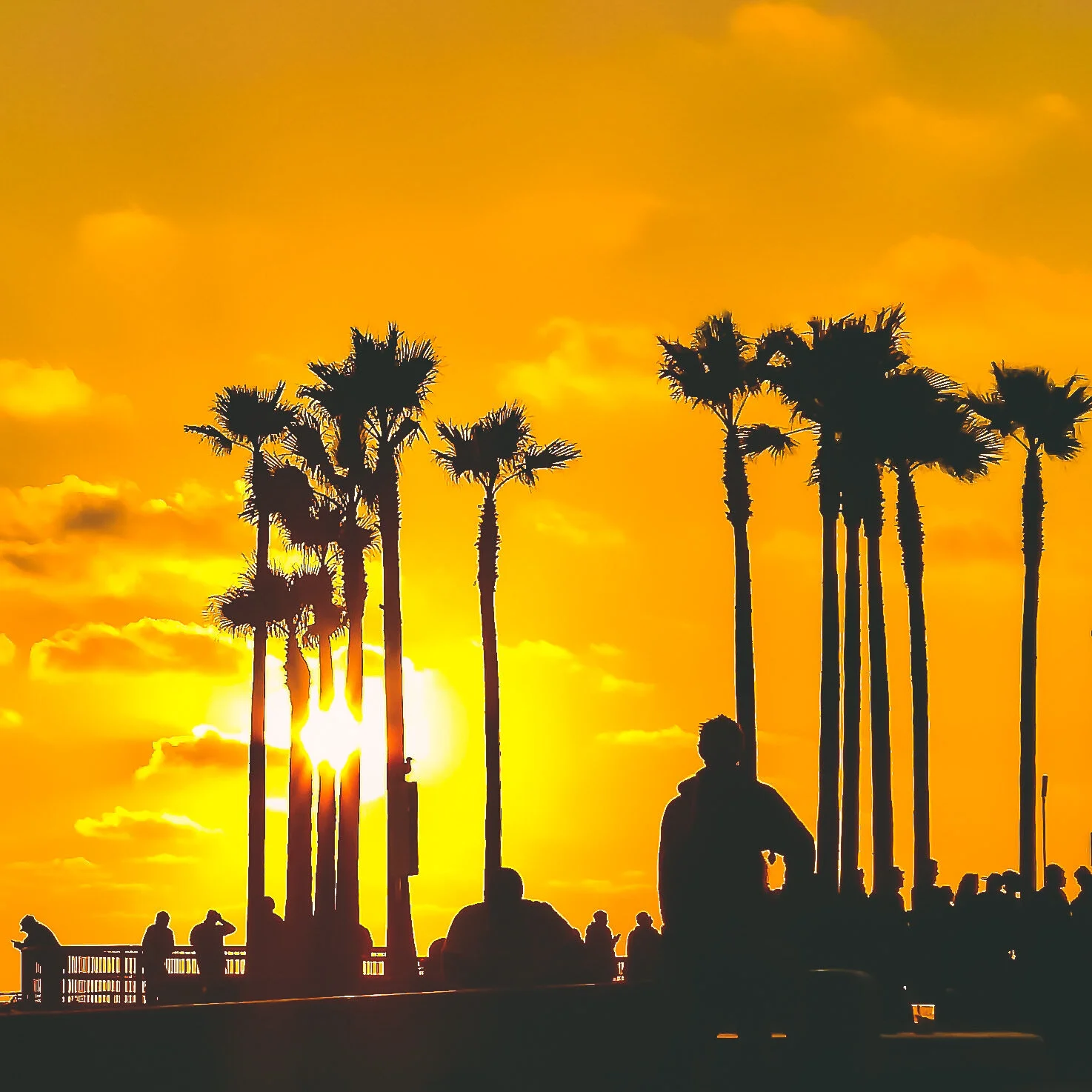 #068 VENICE BEACH B350849A-82BA-4420-859F-C165E7799461.jpeg