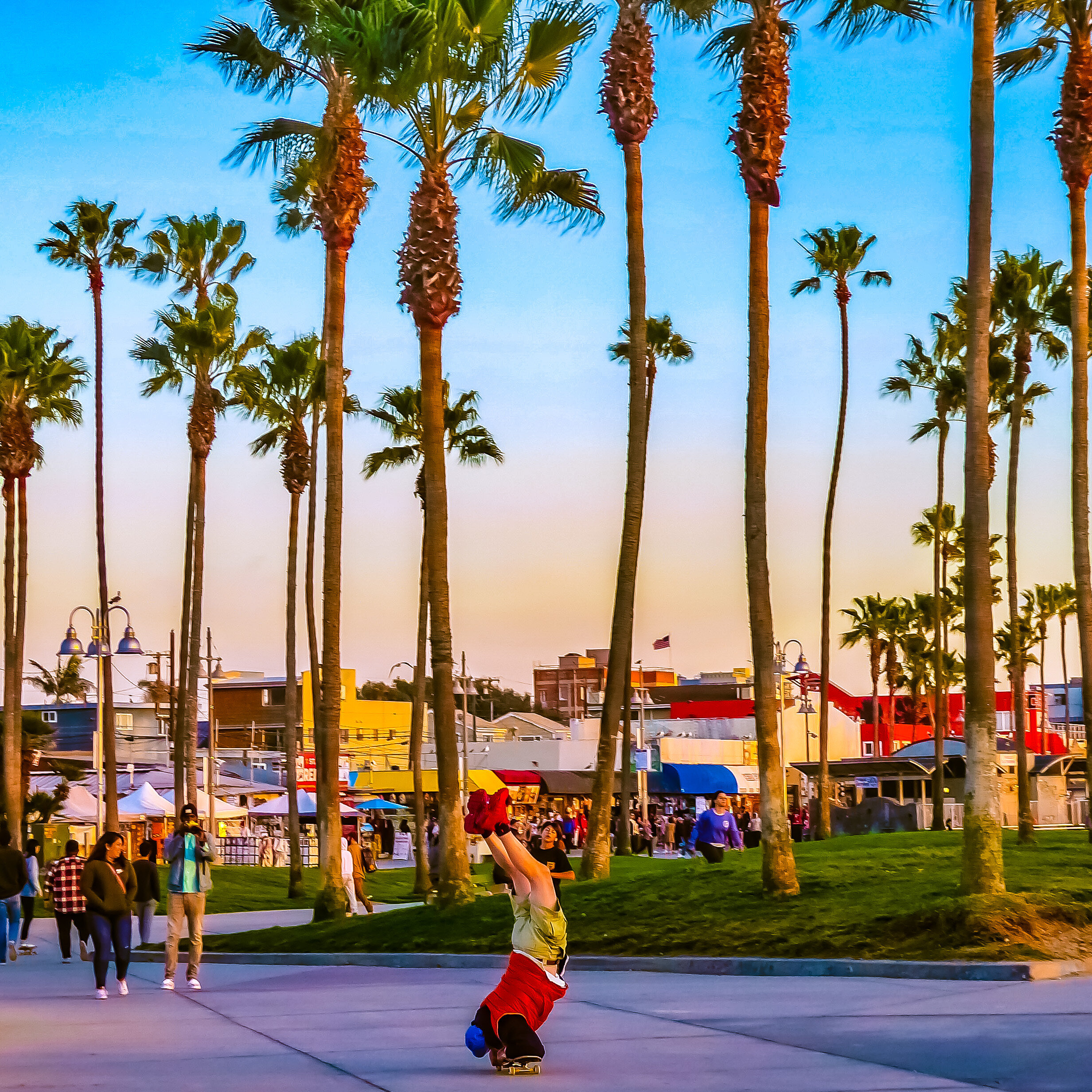 #087 VENICE BEACH 301243B2-E3D1-4C7B-A39C-935C3F1E9ED0.jpeg