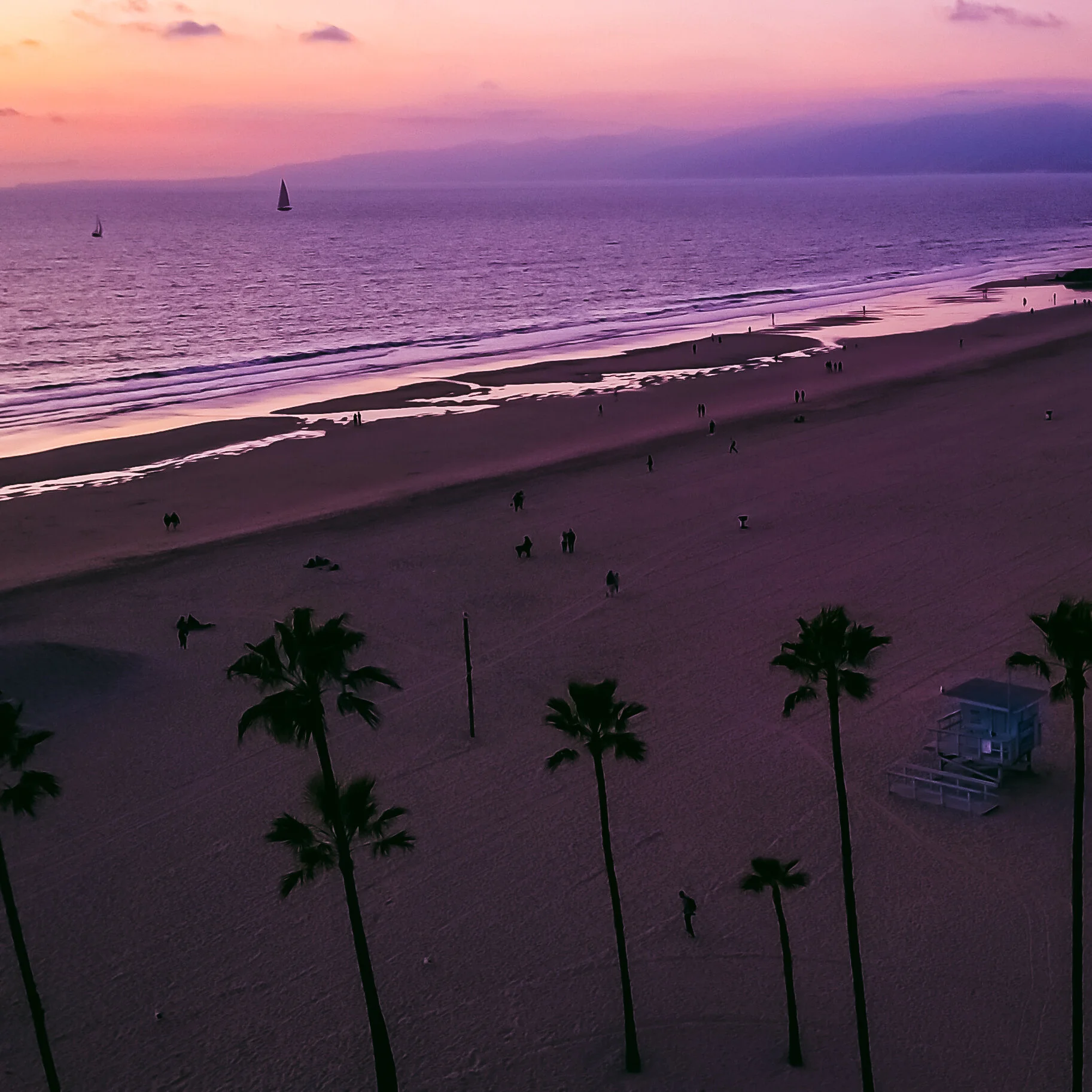 #144 Venice Beach USED WEEK #11 75DD5B21-9BD0-4D24-803C-DC3CA6148588_1_201_a.jpg