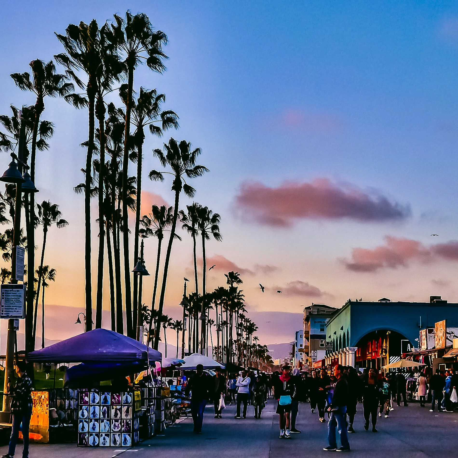 #160 VENICE BEACH 1605584789B-055D-4CFB-A78D-99773BAD12F9_1_201_a.jpgQW.jpg
