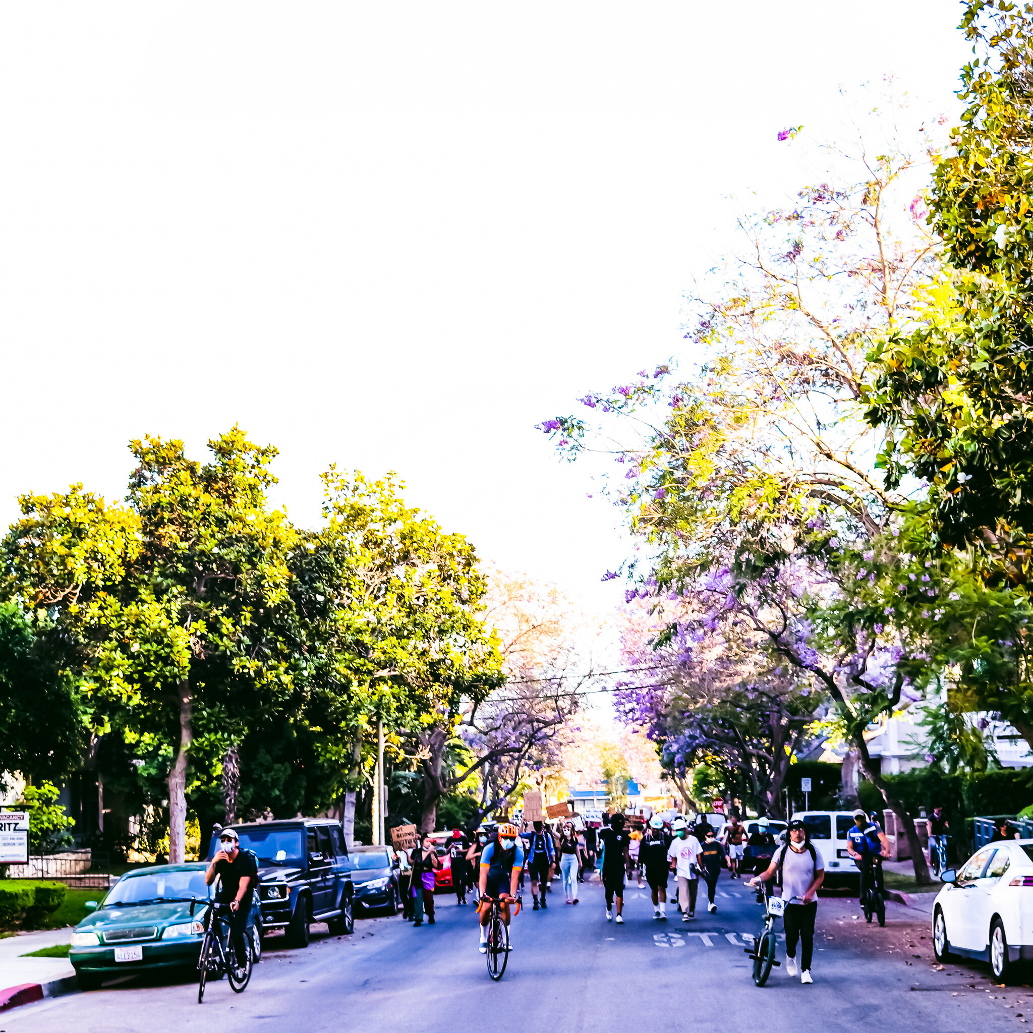 BLM RESIDENTIAL STREET IMG_1230.jpg