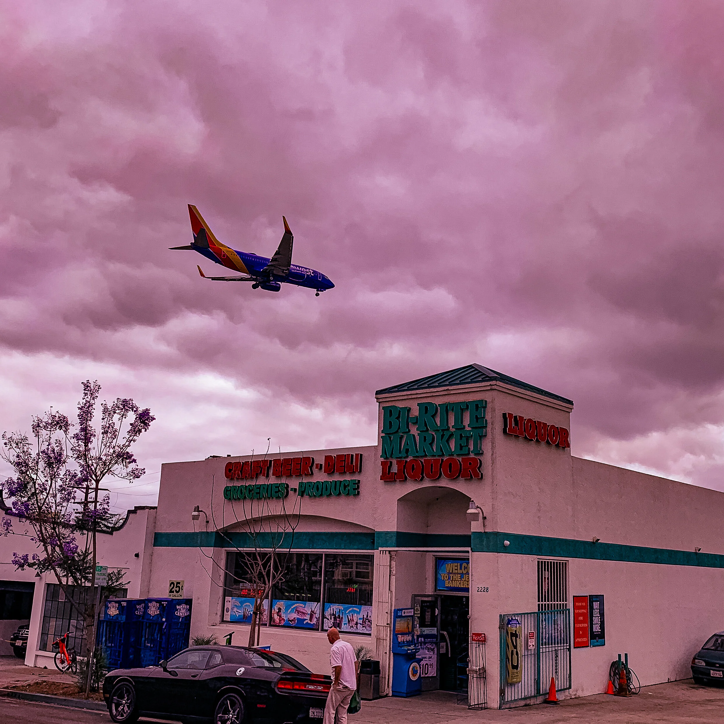 #124 SAN DIEGO USED WEEK #09 2019-06-20 16.09.03 copy.jpg