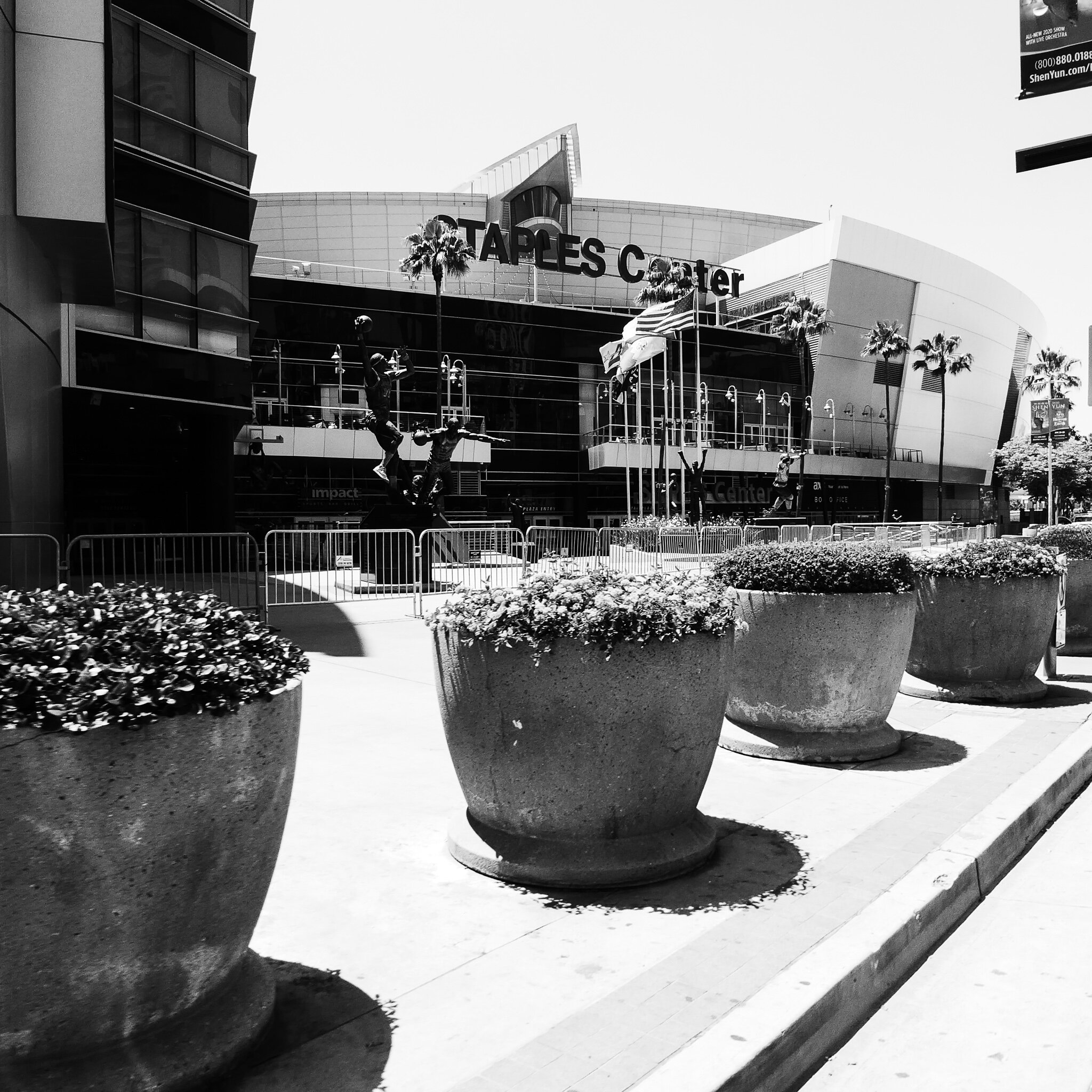 P1070166 COVID LA.jpg