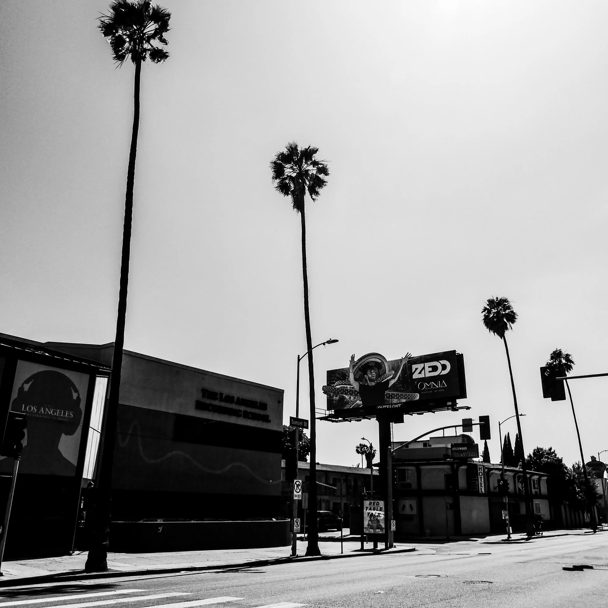 P1070388 COVID LA.jpg