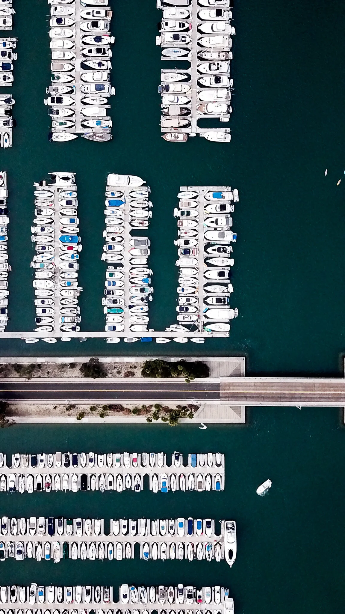 DJI_0313.jpg