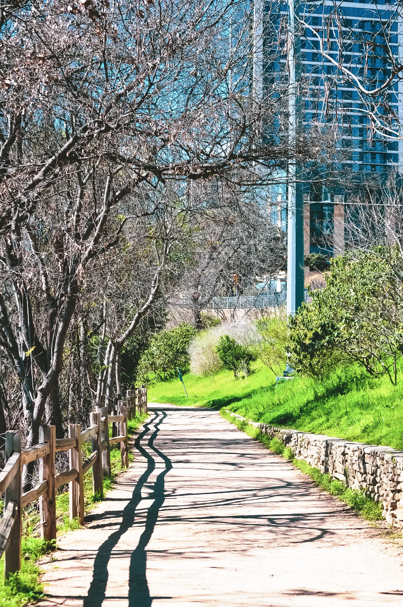 DSC_0112 AUSTIN.jpg