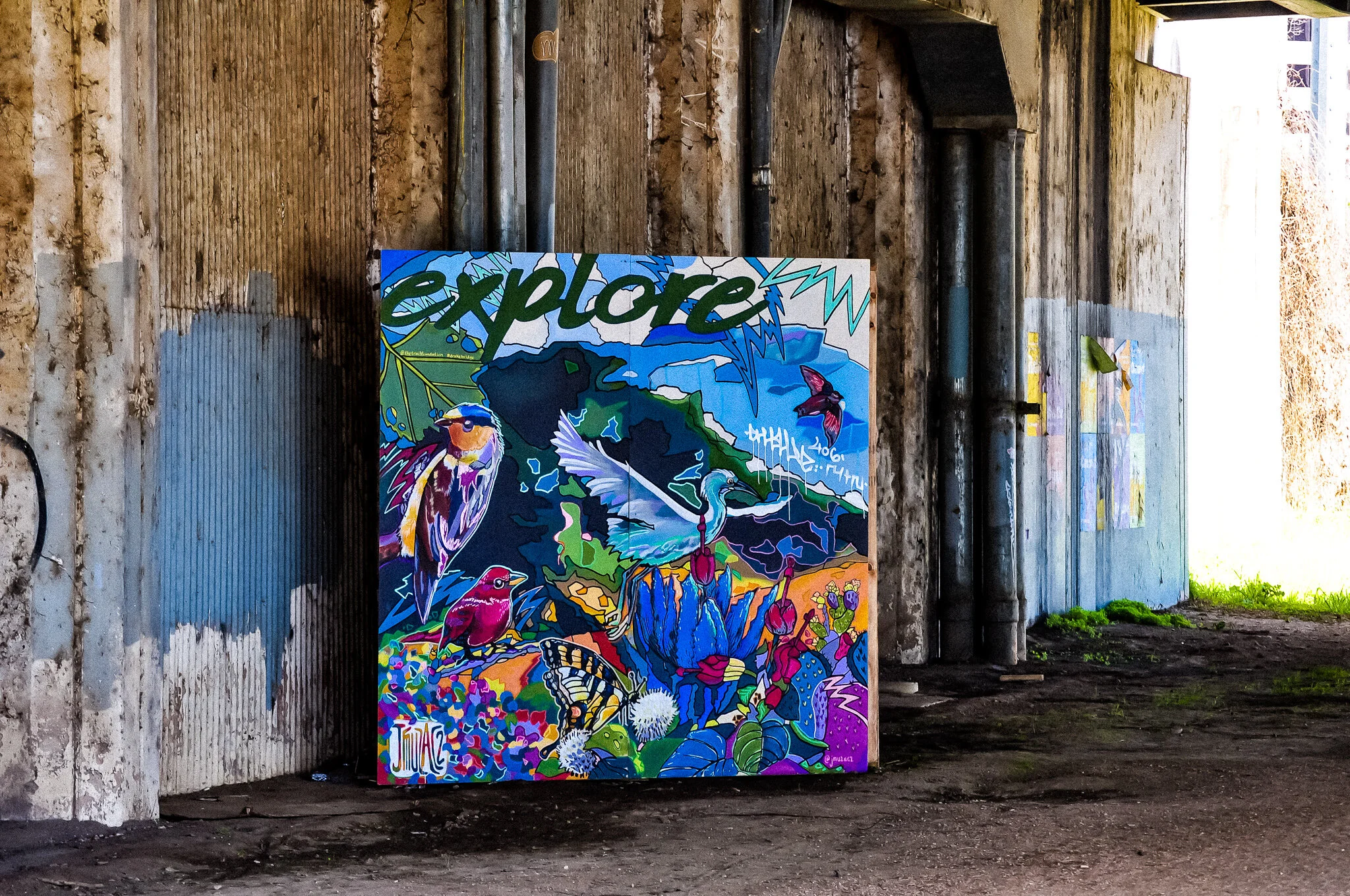 DSC_0140 AUSTIN WALLS.jpg