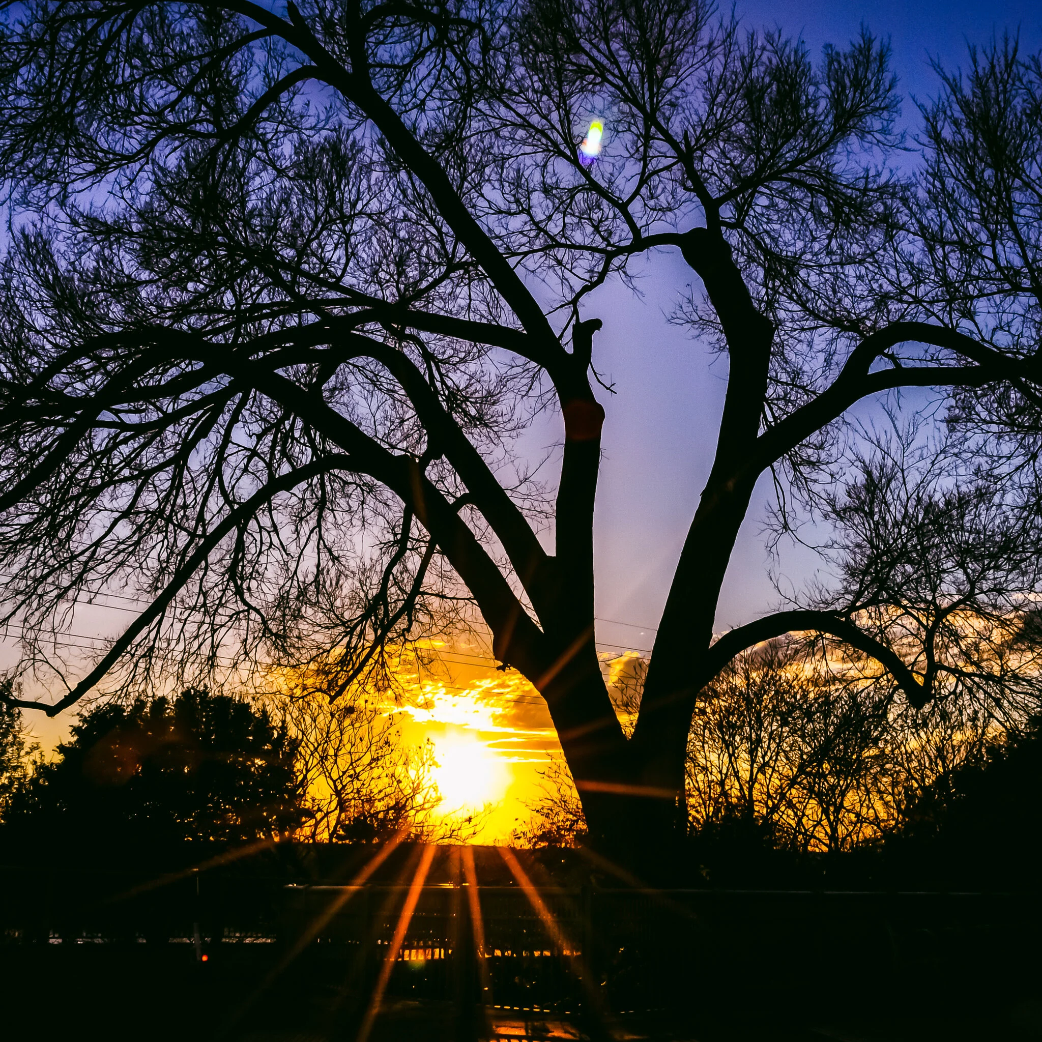 DSC_0200 AUSTIN.jpg
