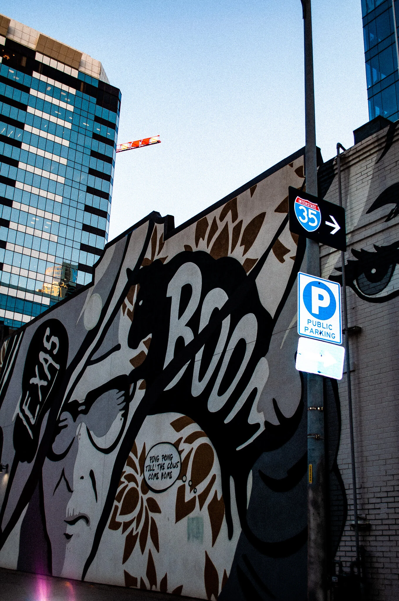 DSC_0234 austin WALLS.jpg