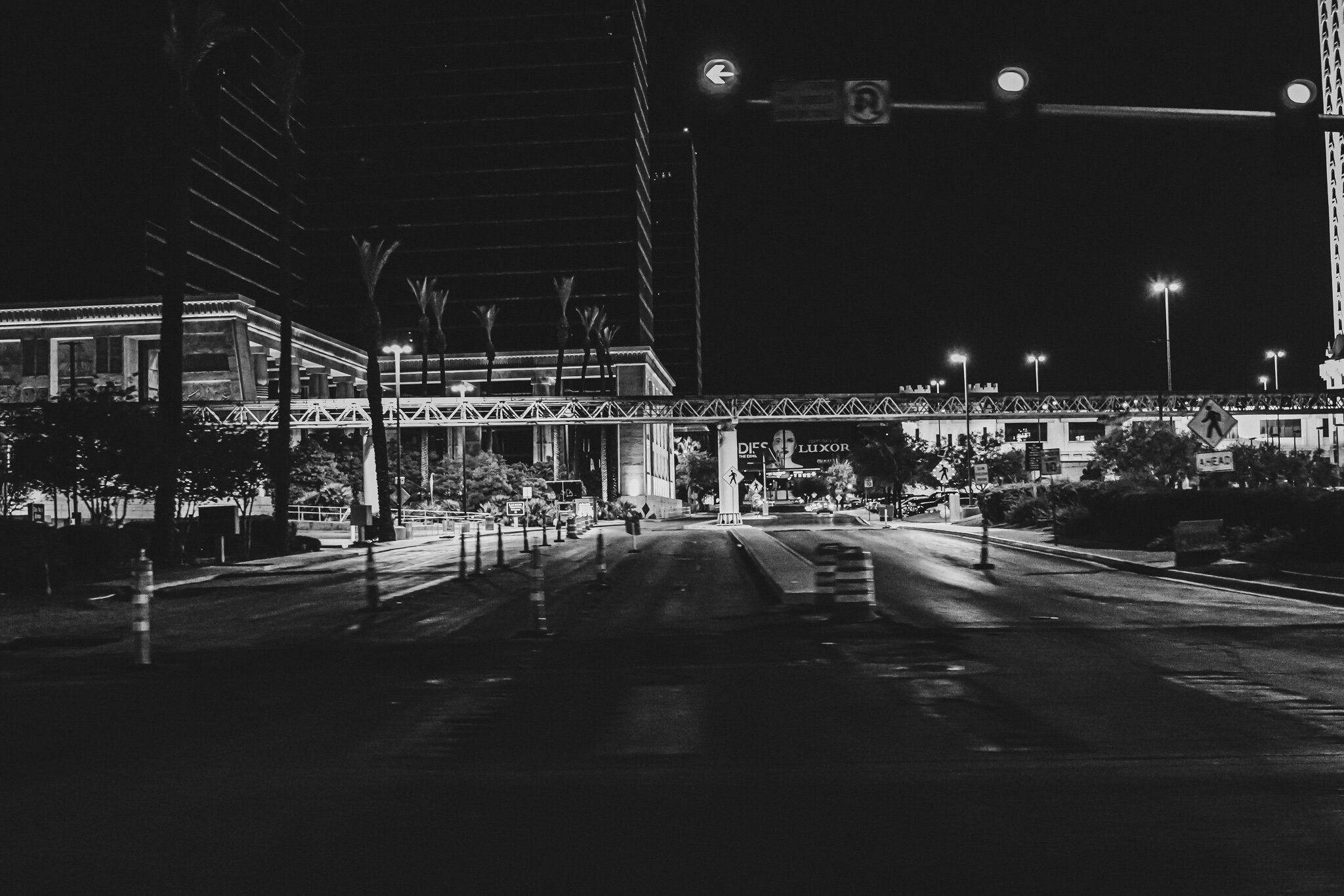 IMG_2634 COVID LAS VEGAS.jpg