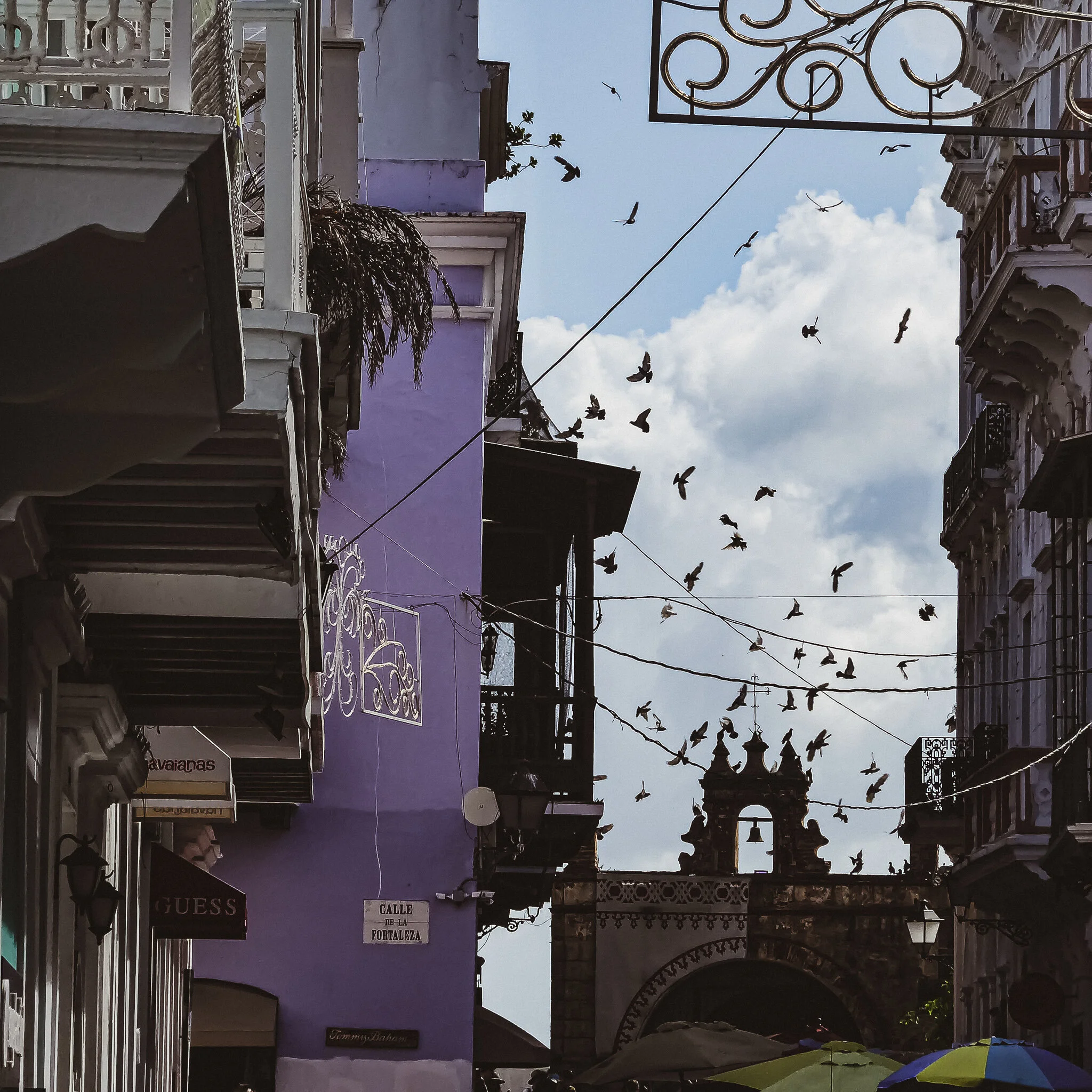 P1050422 PUERTO RICO.jpg