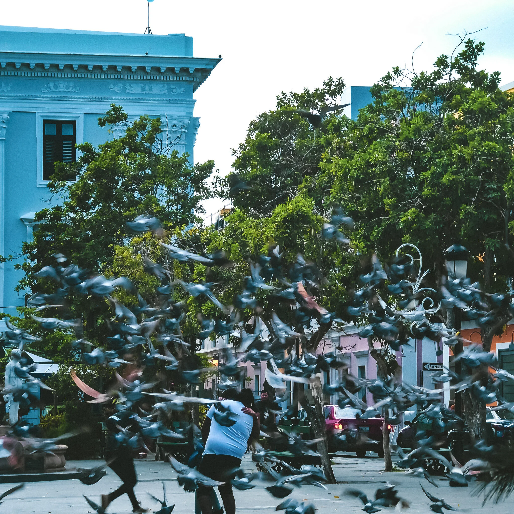 P1050494 PUERTO RICO.jpg