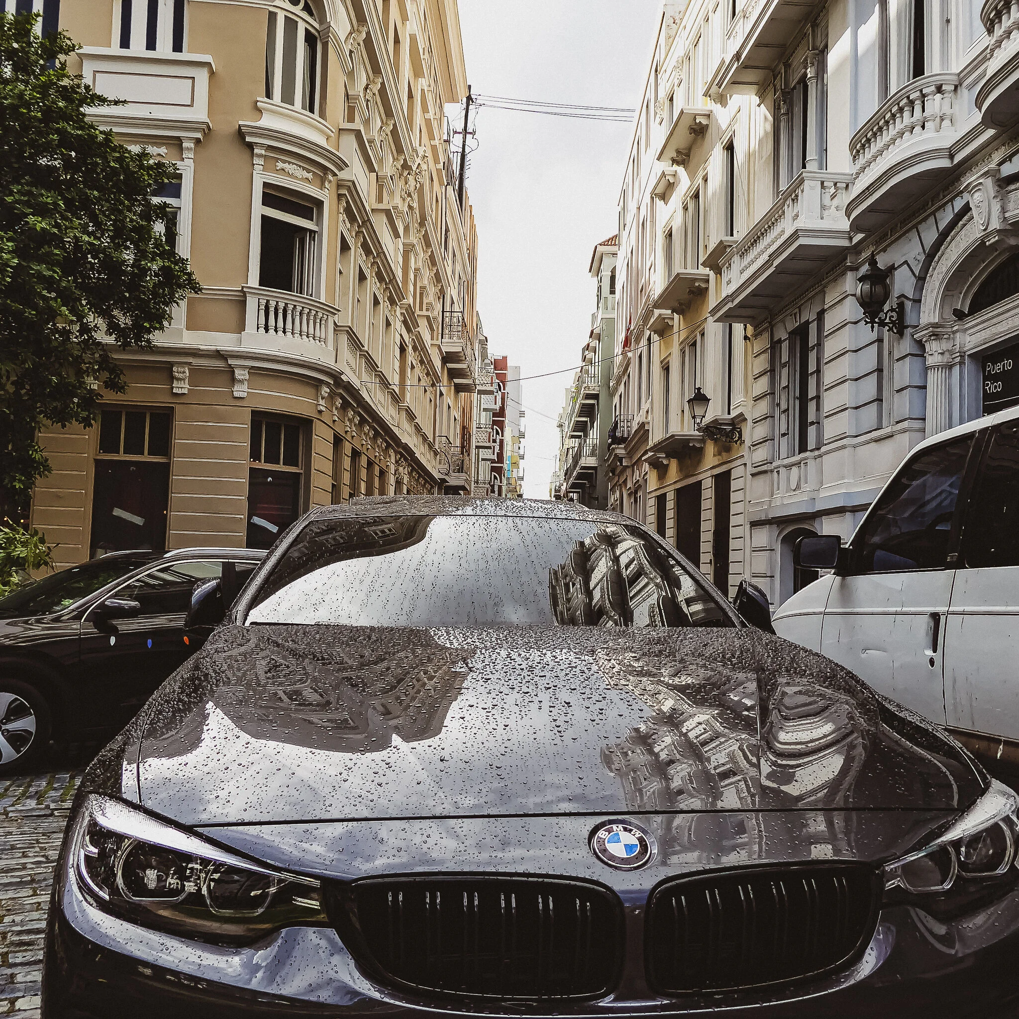 P1050605 PUERTO RICO.jpg