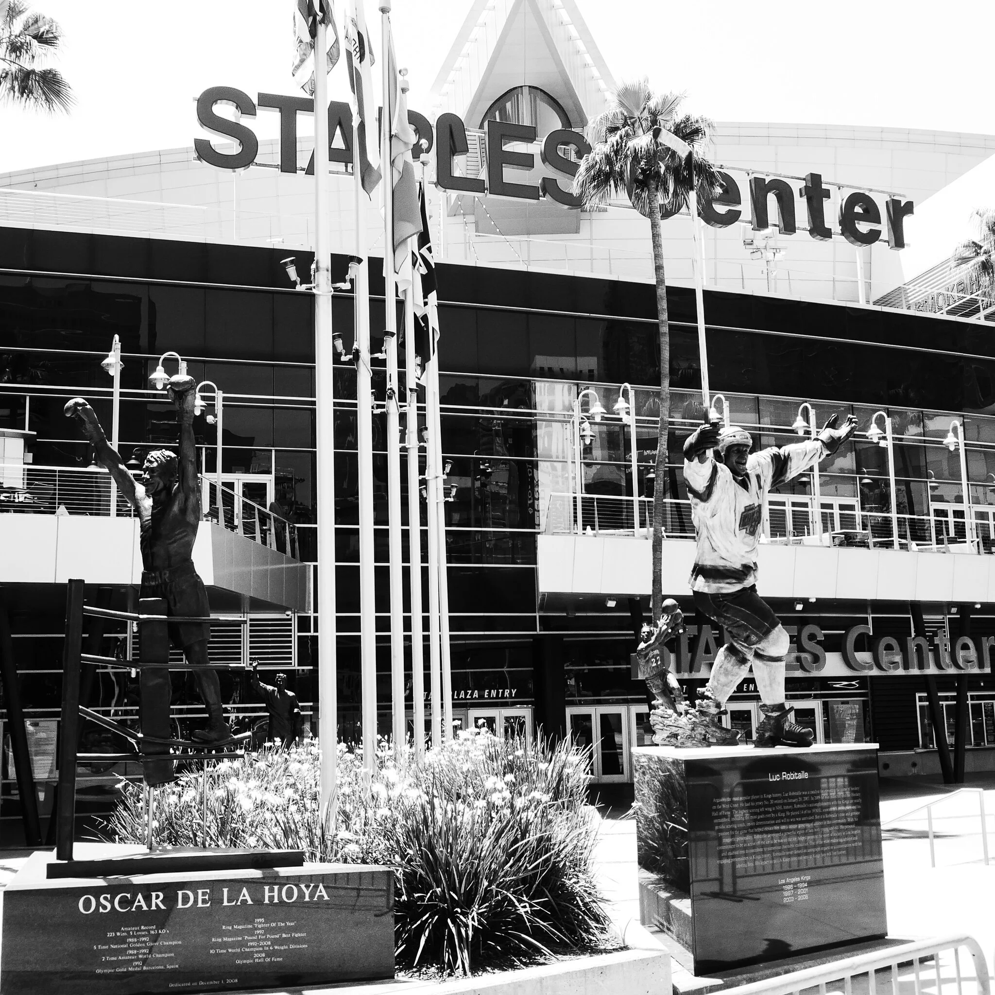 COVID LOS ANGELES .jpg