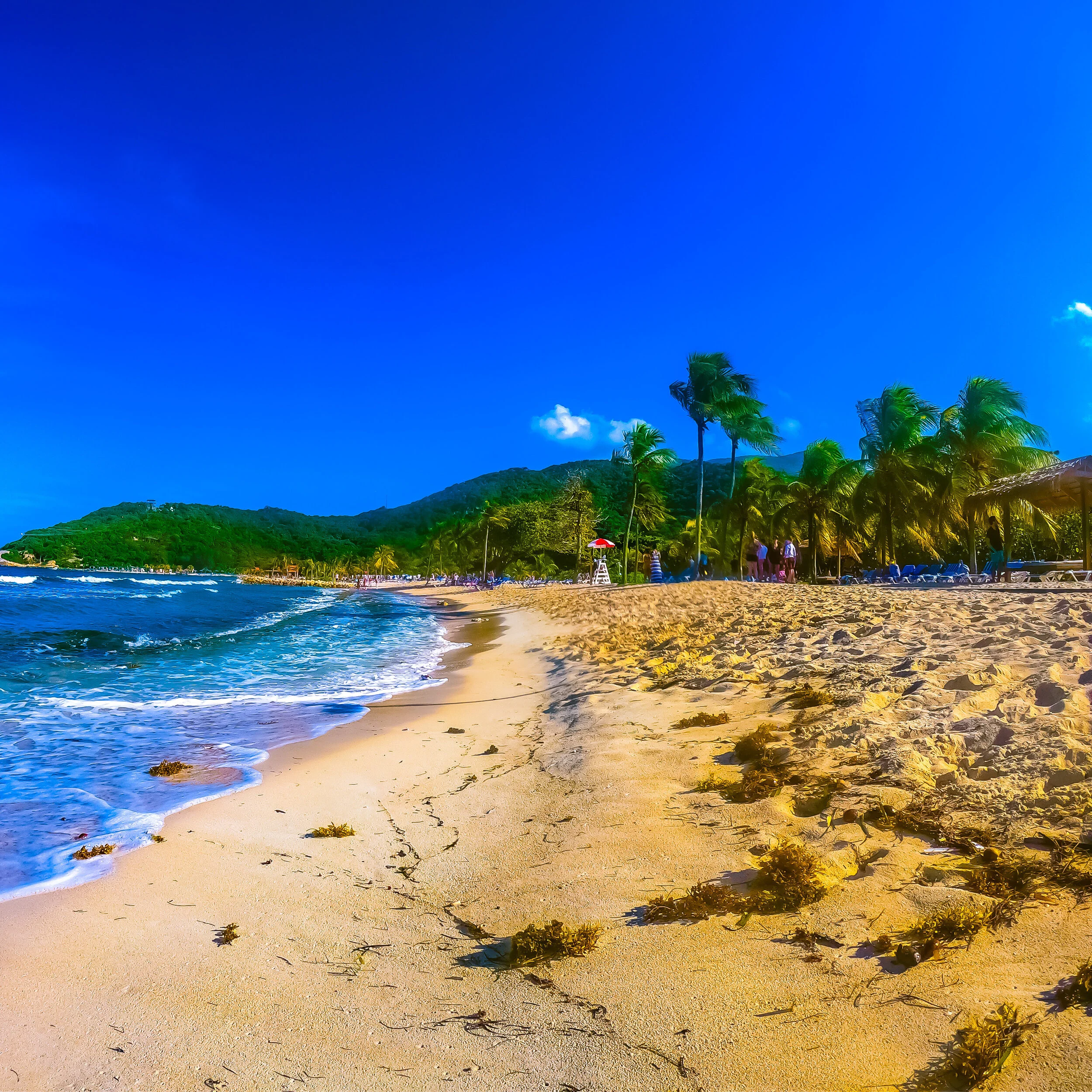 LABADEE HAITI  A3EA9882-38ED-4C0C-9ADA-11A0CE2AE7DA copy.jpeg