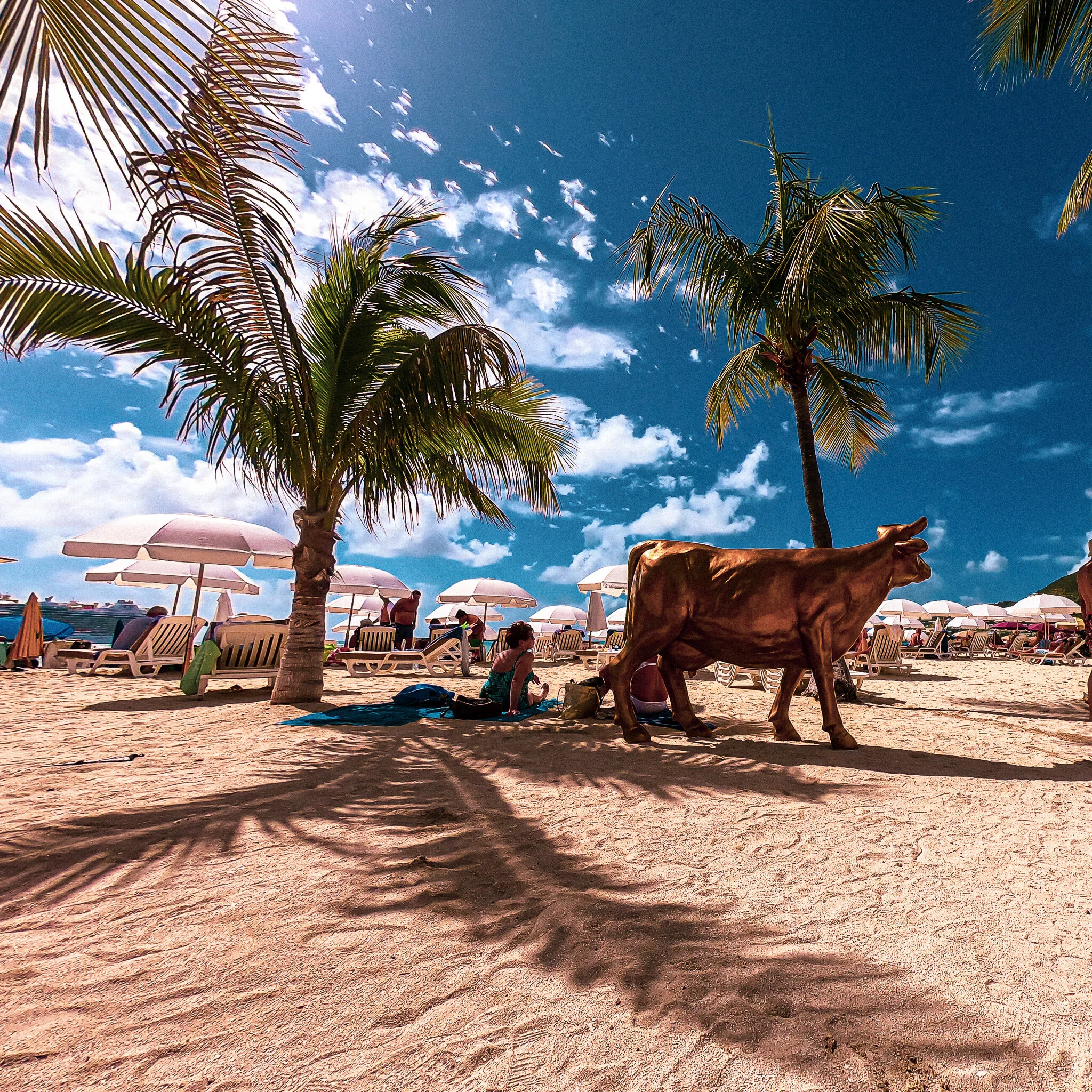 ST MAARTEN GOPR3200.jpg