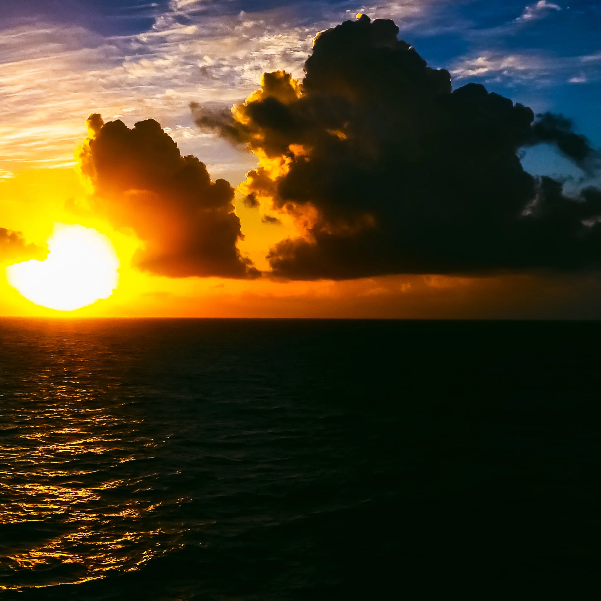 ST MAARTEN P1040701.jpg