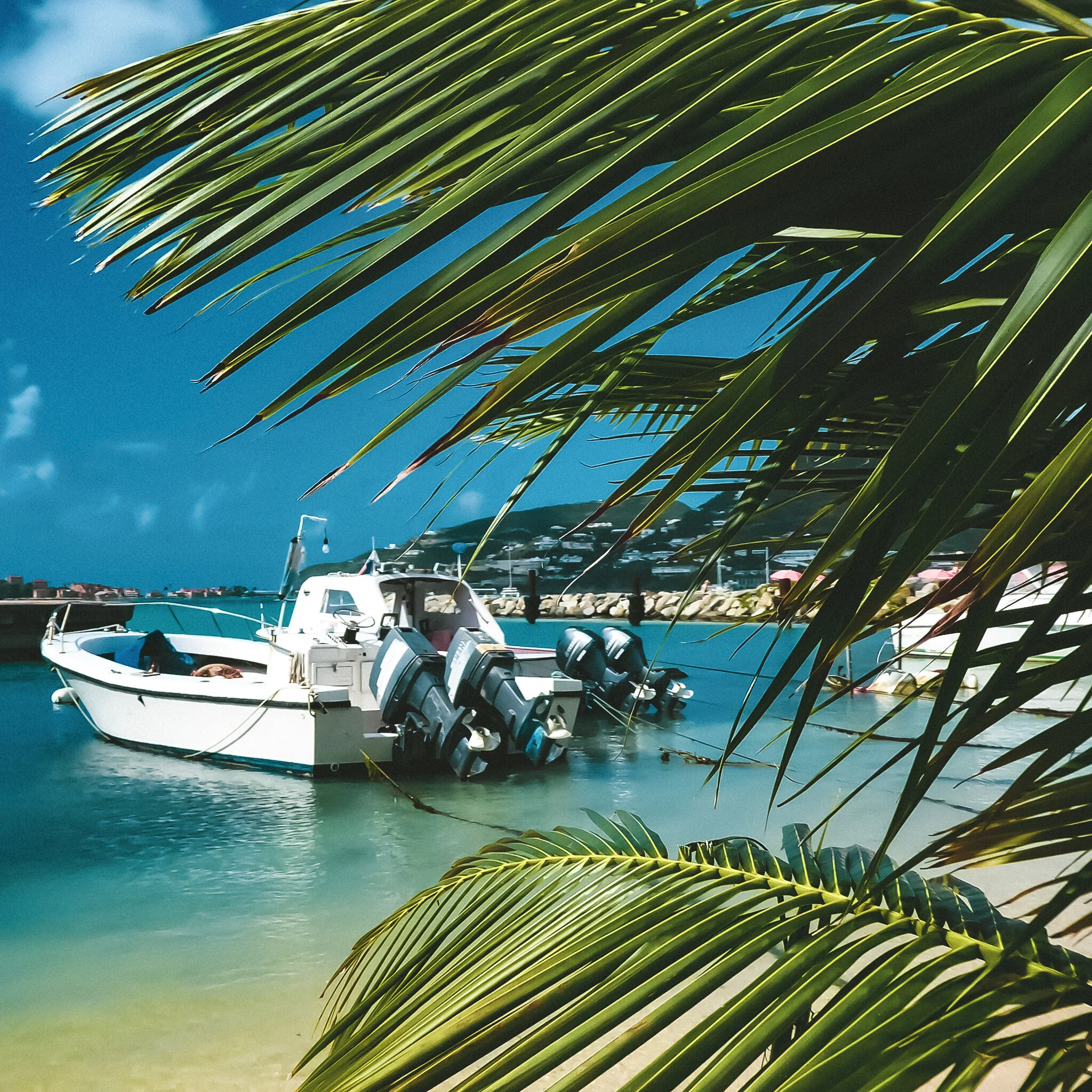 ST MAARTEN P1040880.jpg
