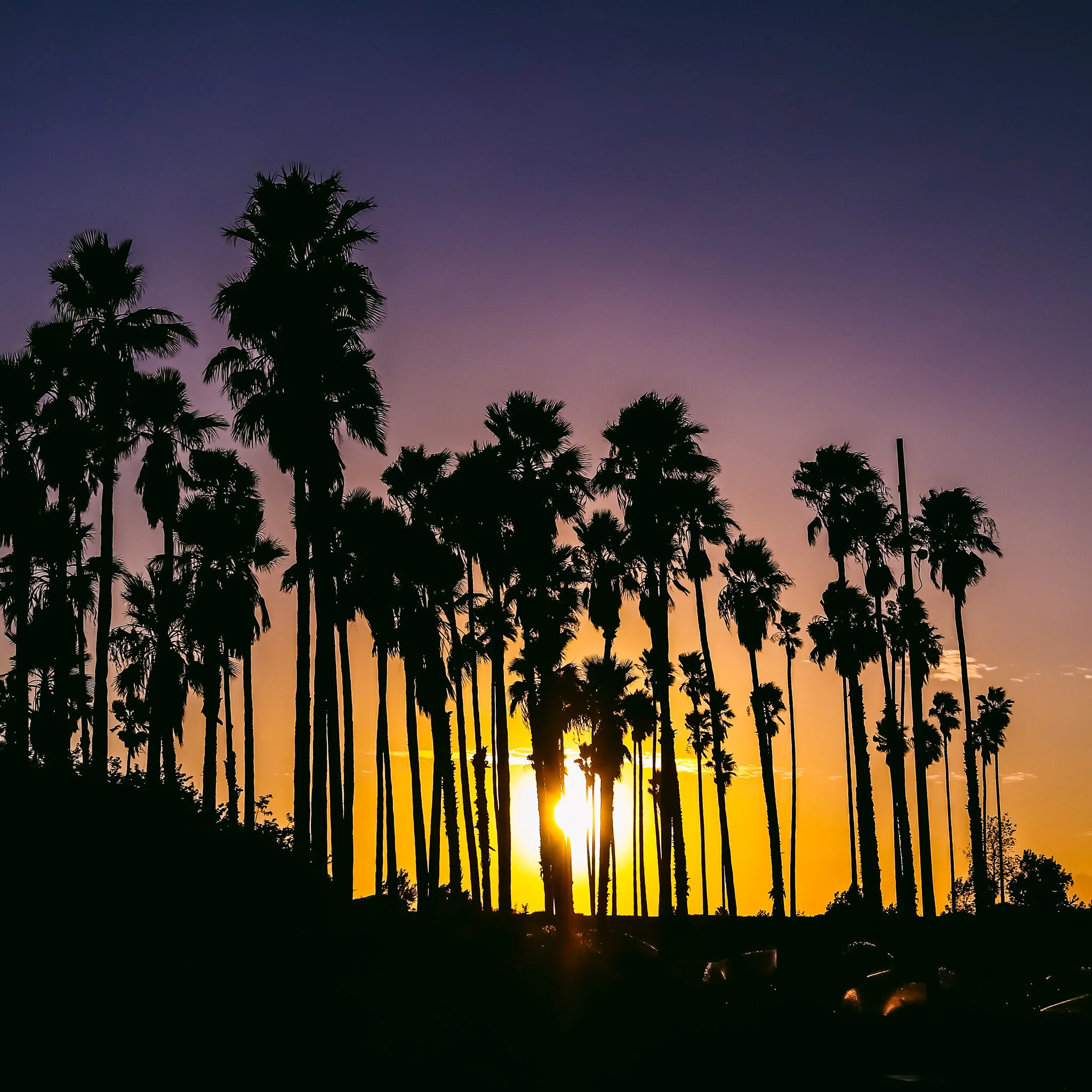 IMG_3170 ROAD TRIP.jpg