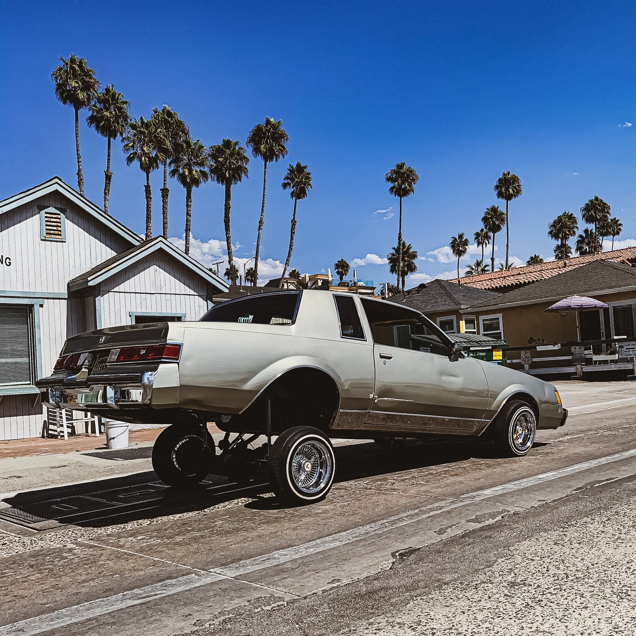 IMG_5974 LOW RIDER.jpg