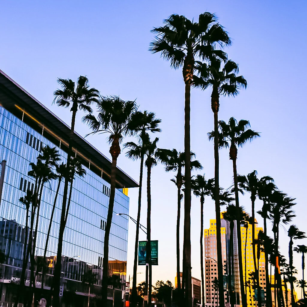 581883FE-1F1F-4BED-9792-F95D26556850_1_105_c.jpg