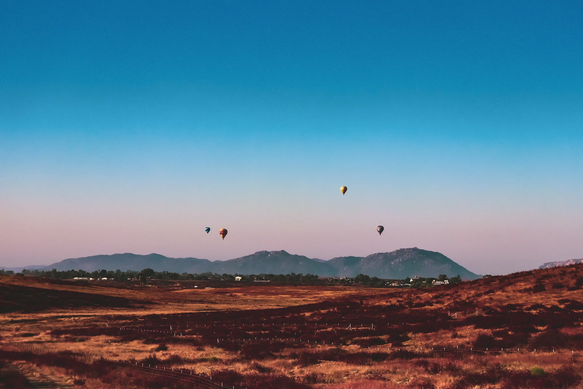 IMG_3430 BALLOONS IN THE SKY.jpg
