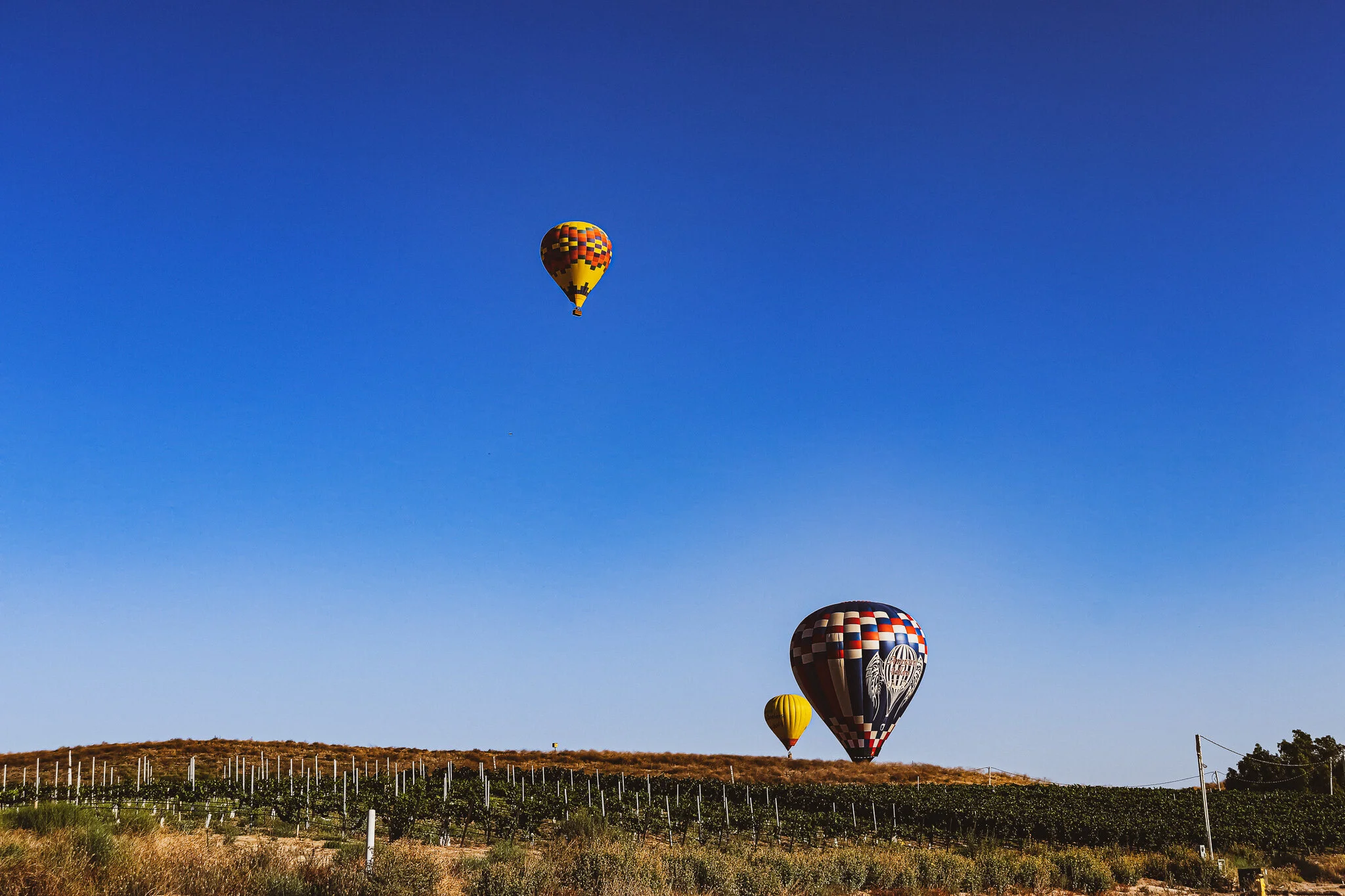 IMG_3441 BALLOONS.jpg