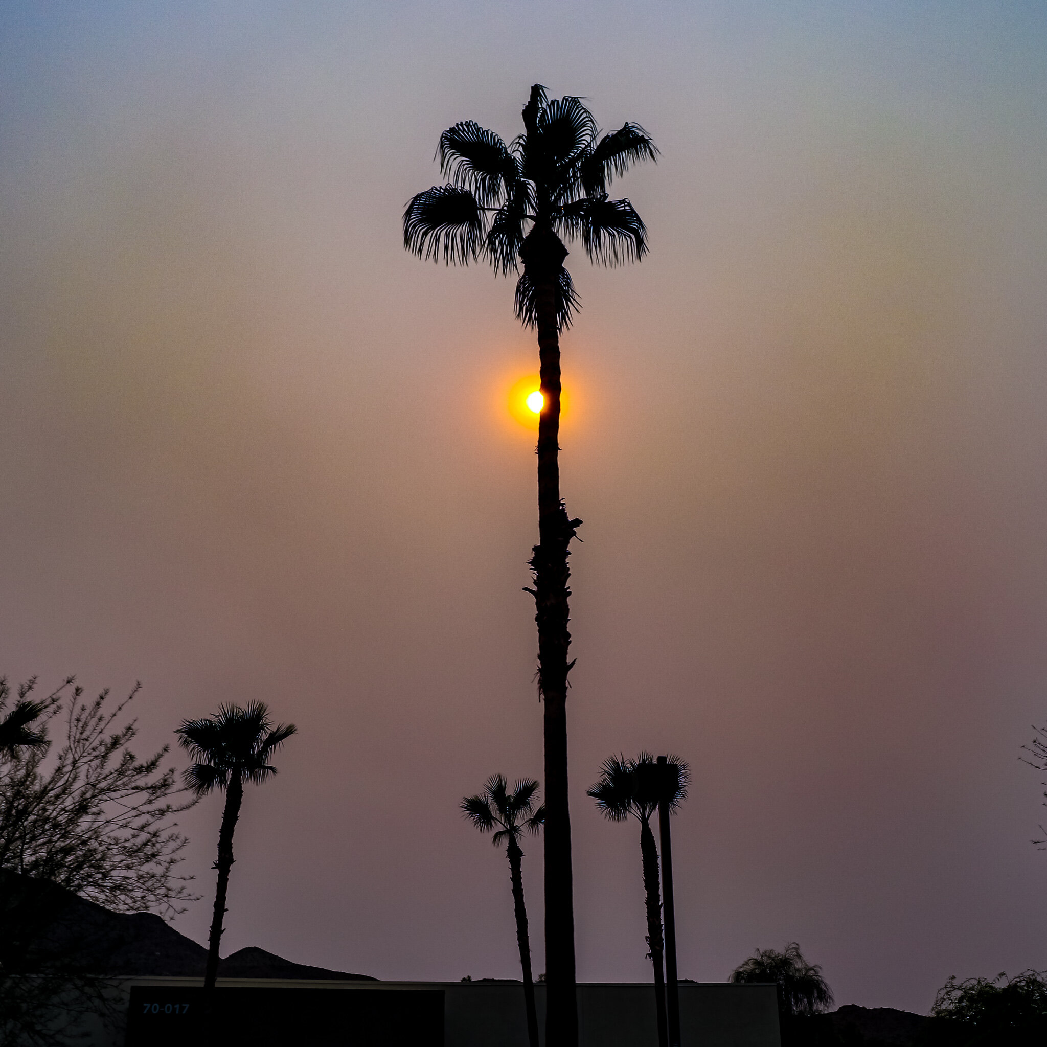 IMG_3542 SMOKEY SUN 1.jpg