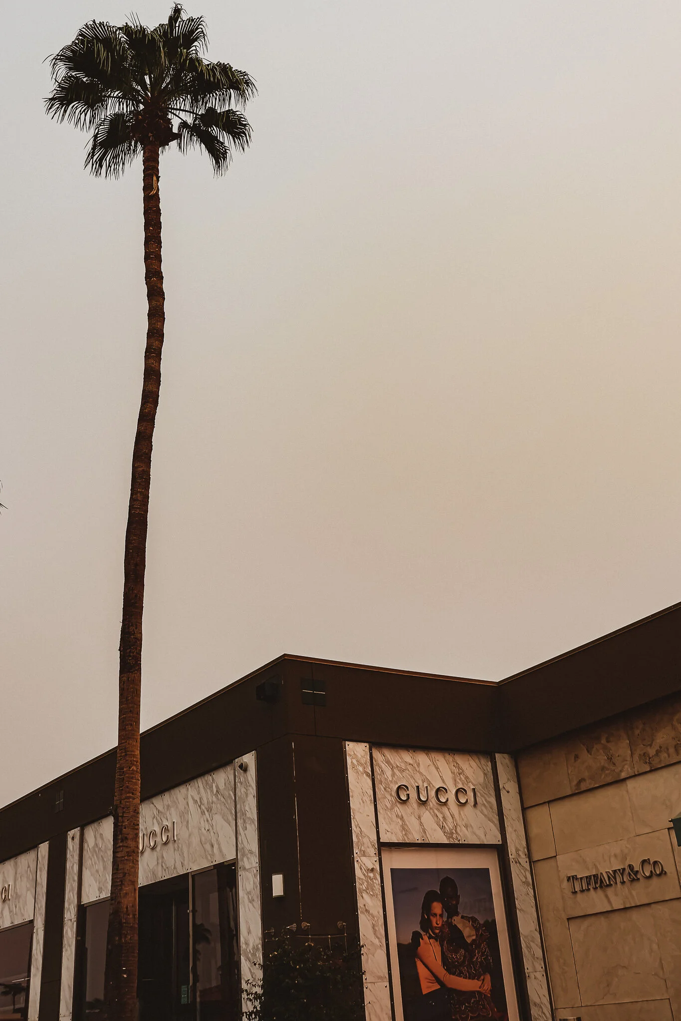 IMG_3577 GUCCI.jpg