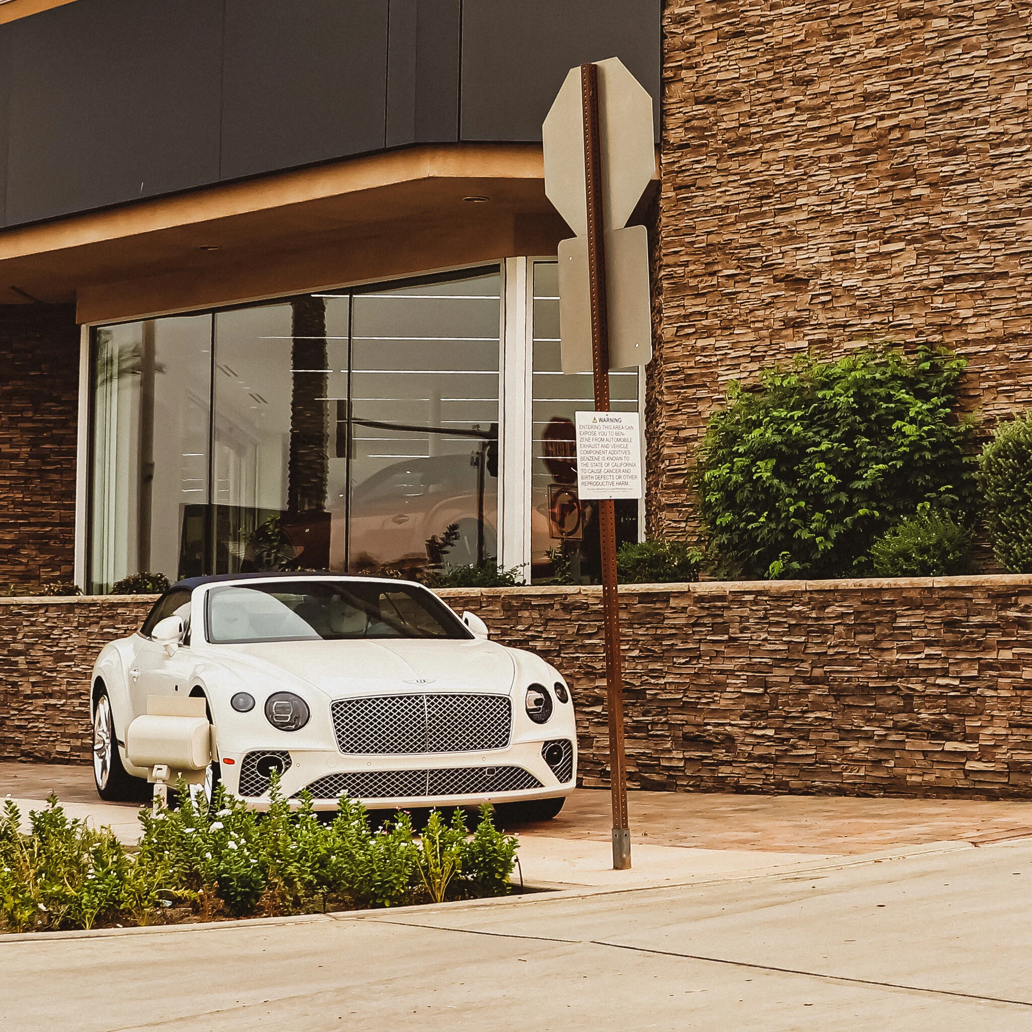 IMG_3552 BENTLEY.jpg