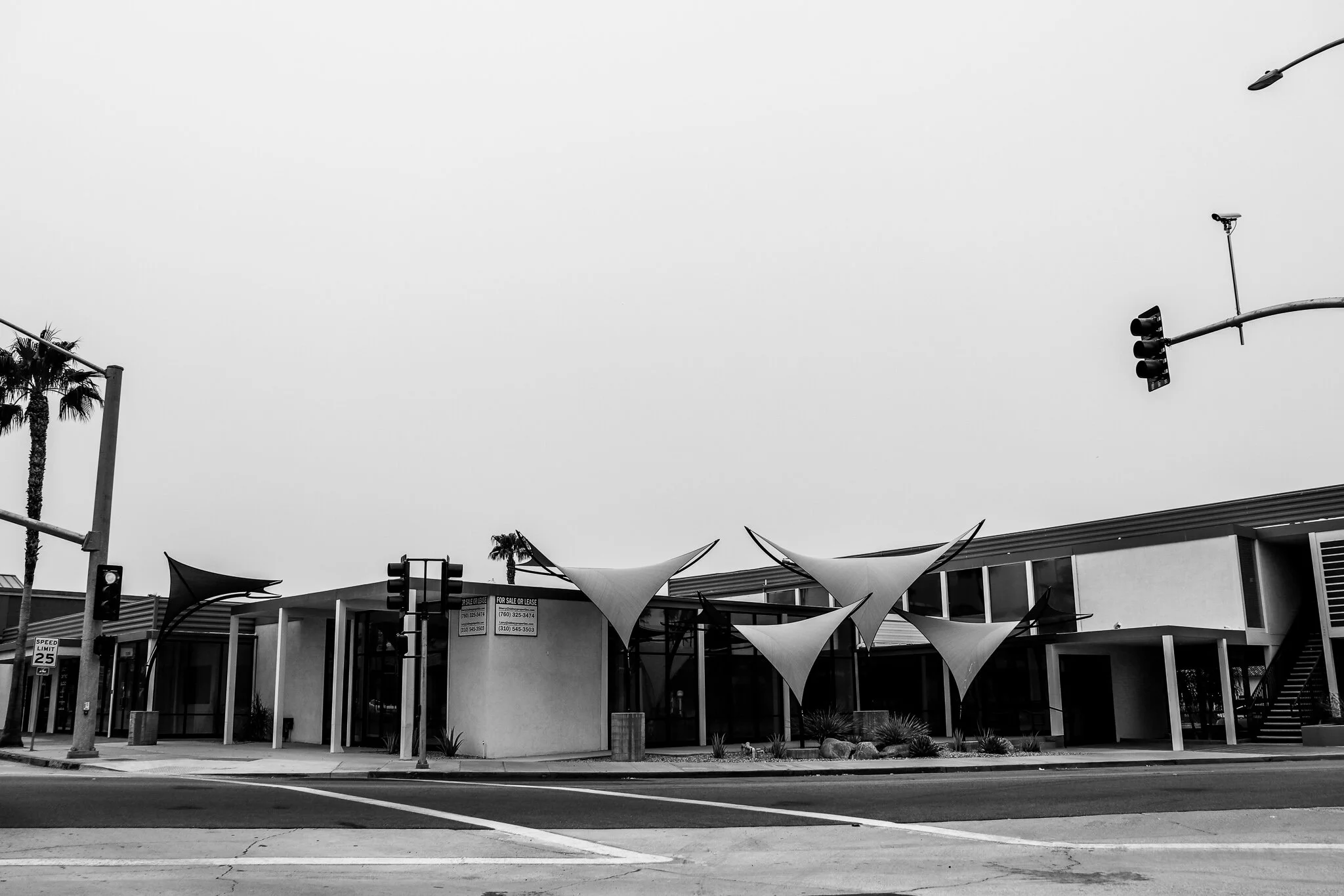 IMG_3604 PANDEMIC.jpg