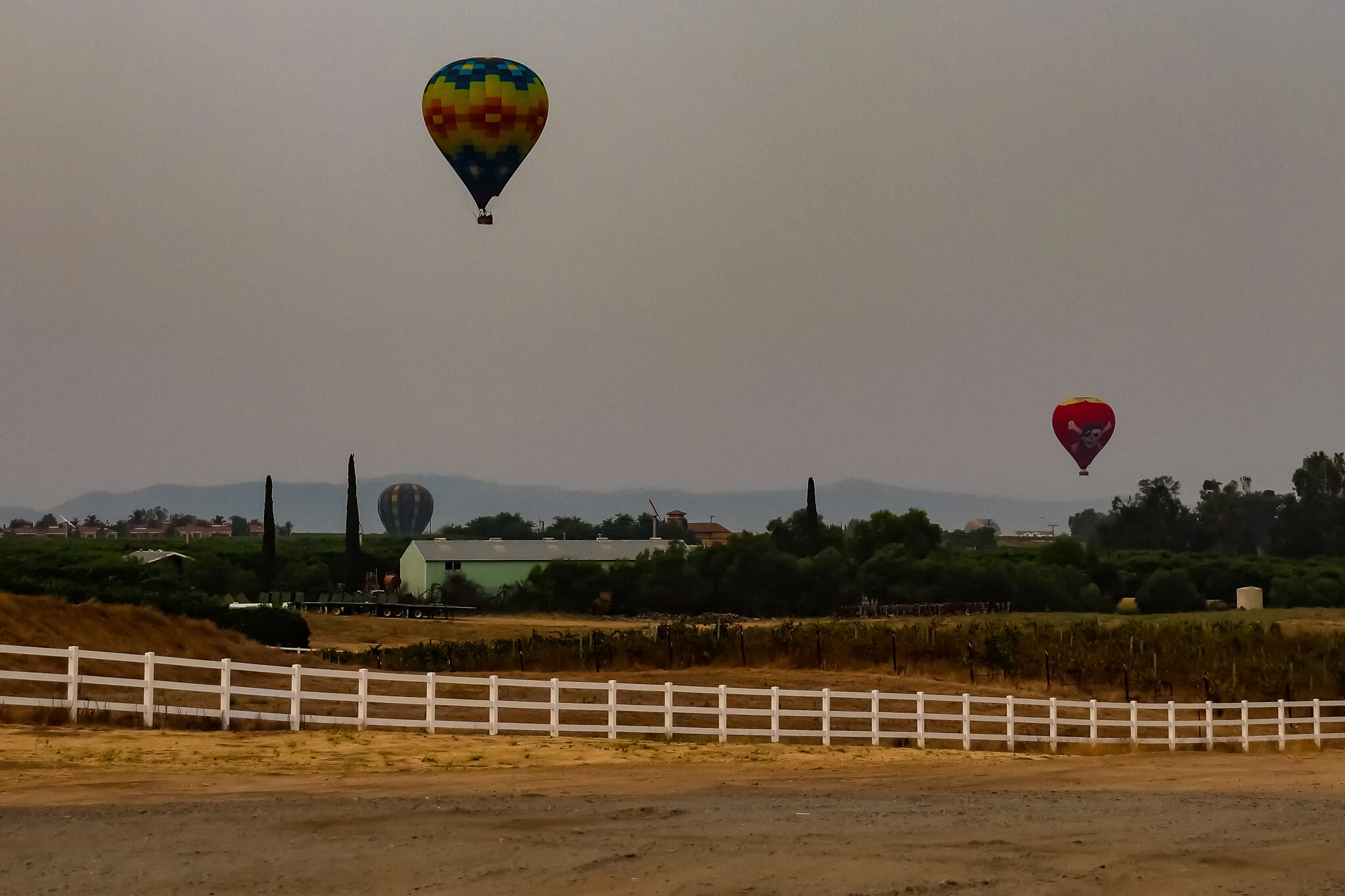 IMG_3931 BALLOONS.jpg