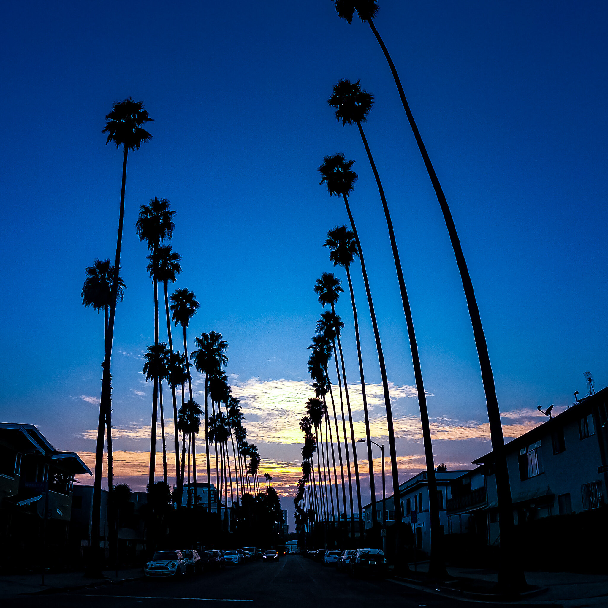 GOPR4797 HOLLYWOOD.jpg